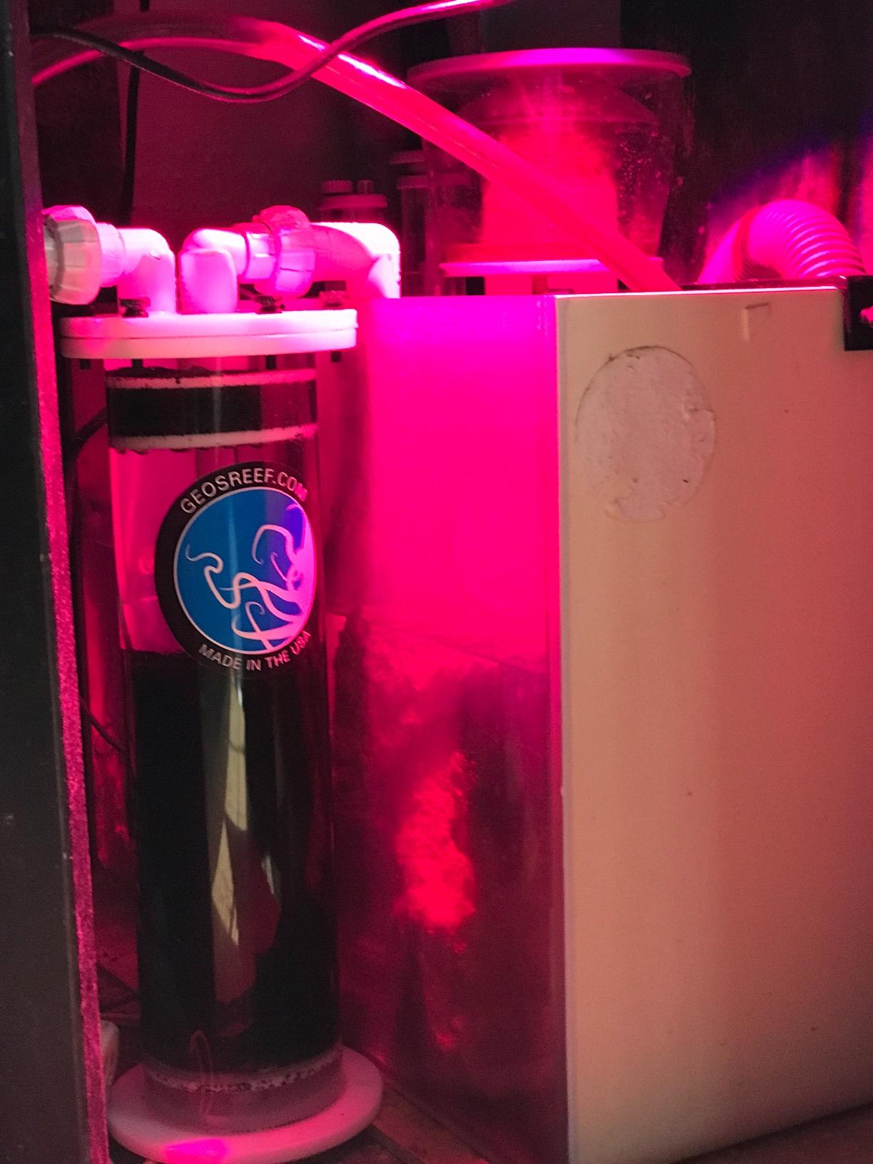 Kessil H80 Tuna Flora Refugium LED customer photo 2