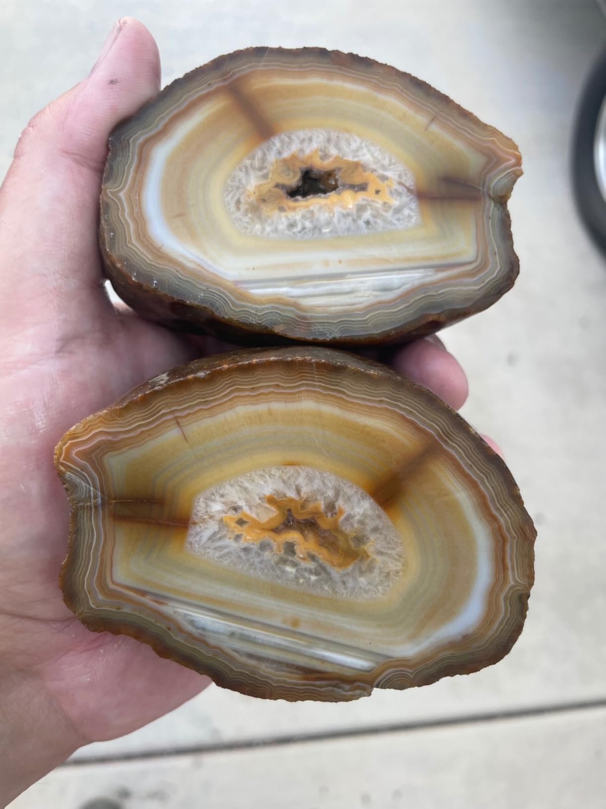 Delta Diamond Piranha Premium 10 Inch Tile Saw Diamond Blade, 5/8