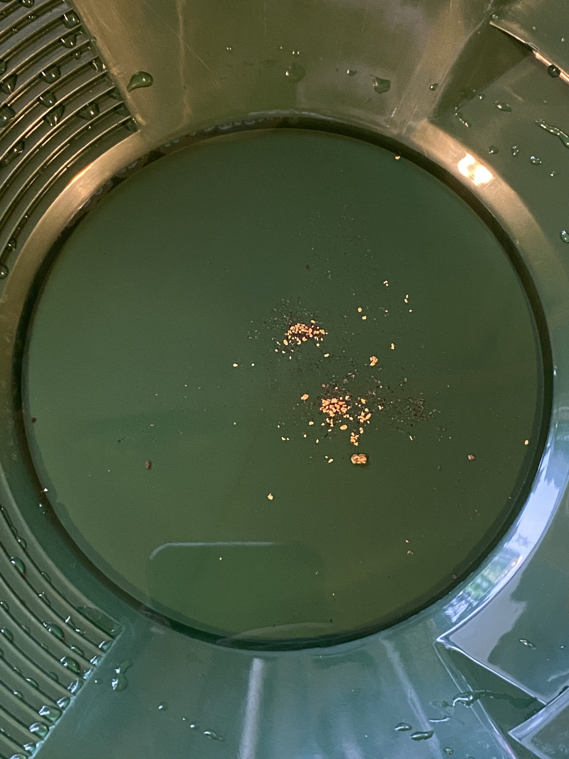 ASR Outdoor Gold Pan Gold Prospecting Beginners Kit, Collection Tools, 5 Piece Green customer photo 1