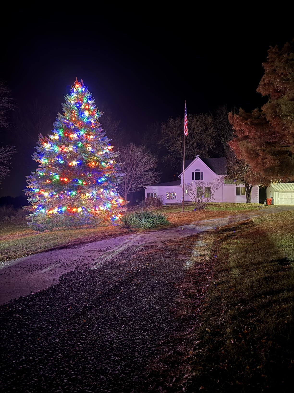 Wintergreen Lighting 25 C9 OptiCore LED Commercial Outdoor Christmas Lights - Heavy Duty Christmas String Lights; Green Wire (25 ft, Multicolor Smooth/Opaque) customer photo 2