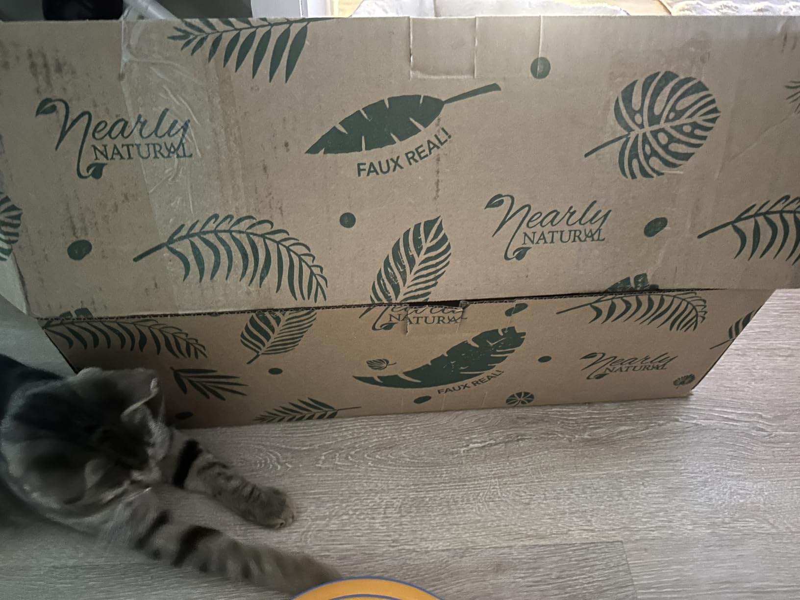 15.5in. Calla Lily and Grass Artificial Arrangement in Vase, Cream customer photo 2