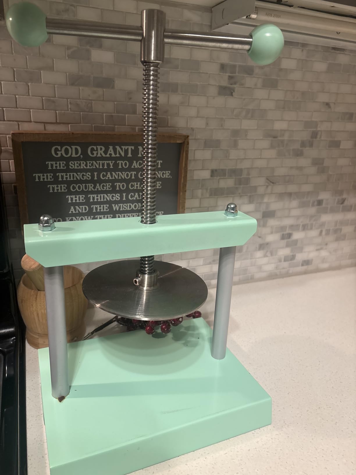 EJWOX Cheese Tincture Herb Fruit Wine Manual Press - 0.8 Gal Stainless Steel Press Machine for Juice, Vegetable, Wine, Olive Oil customer photo 2