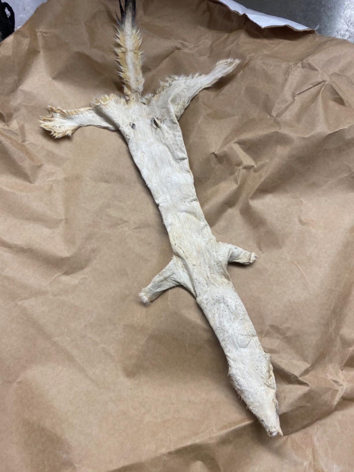 Knoblochs Deer Hunter's & Trapper's Hide & Fur Tanning Formula and Fleshing Tool Set customer photo 1