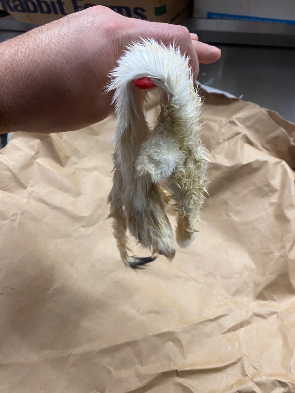 Knoblochs Deer Hunter's & Trapper's Hide & Fur Tanning Formula and Fleshing Tool Set customer photo 2