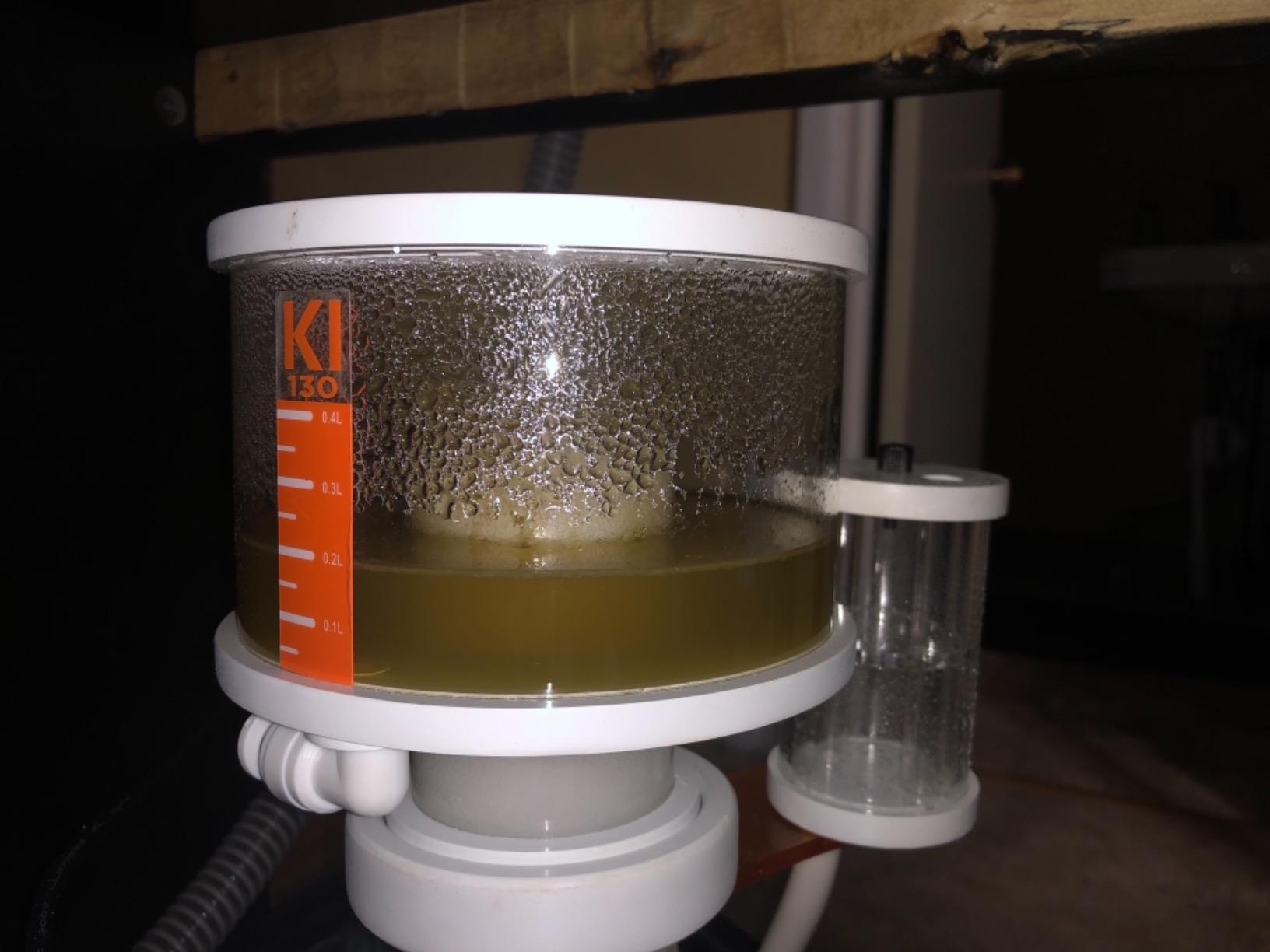 IceCap K1-130 Protein Skimmer customer photo 1