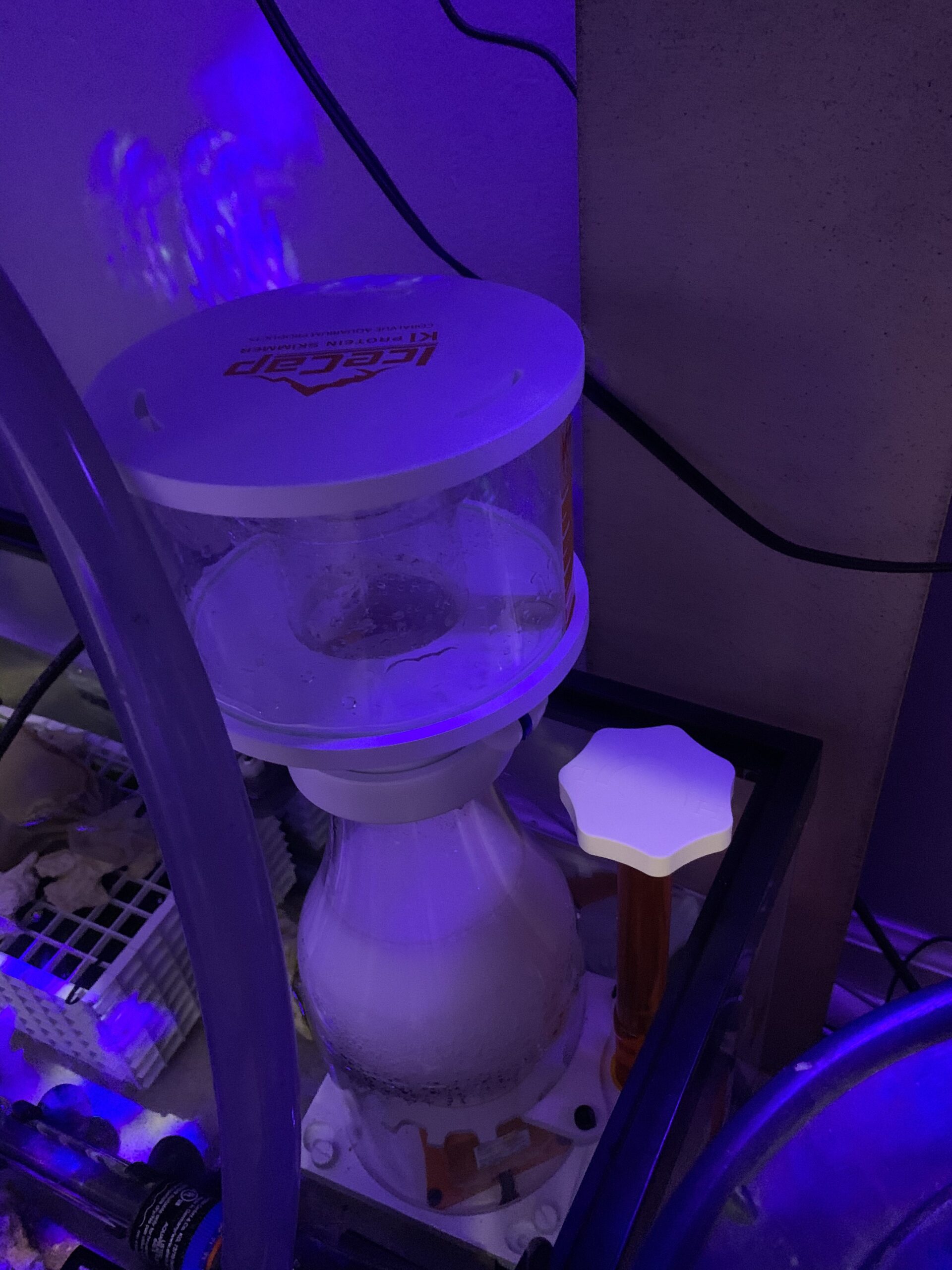 IceCap K1-130 Protein Skimmer customer photo 2