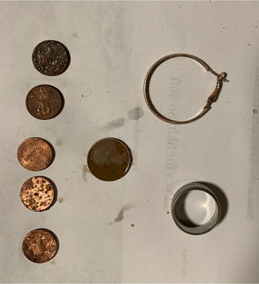 Minelab Equinox 800 Multi-Frequency Waterproof Metal Detector for Adults with EQX 11