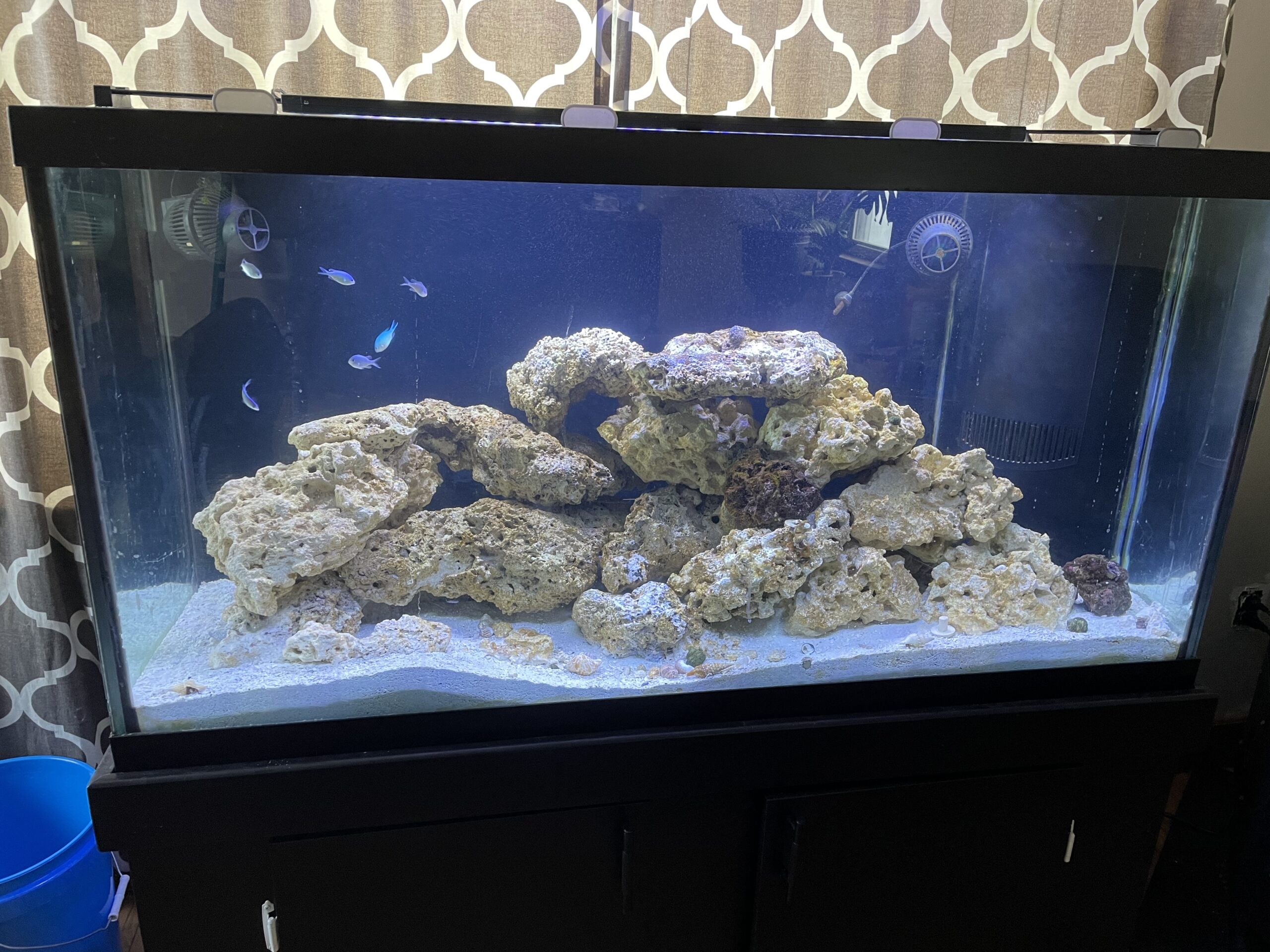 Fluval Sea Marine 3.0 LED Aquarium Lighting for Coral Growth, 46 Watts, 36-46 Inches customer photo 2