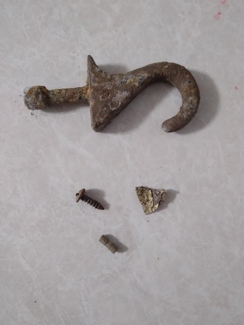 Garrett ACE 300 Metal Detector for Adults - Made in the USA - Gold Metal Detector - Waterproof Coil, Plus Accessories customer photo 2