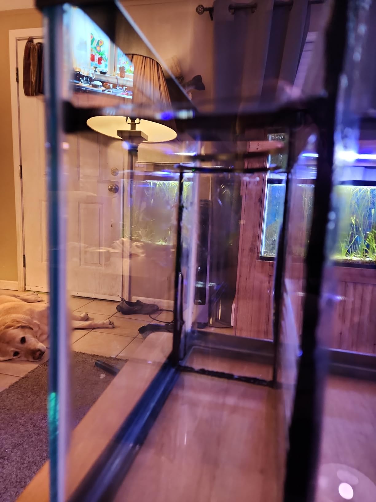 Fiji Cube Refugium Sump Baffle Kit (20 Gallon Long) customer photo 1