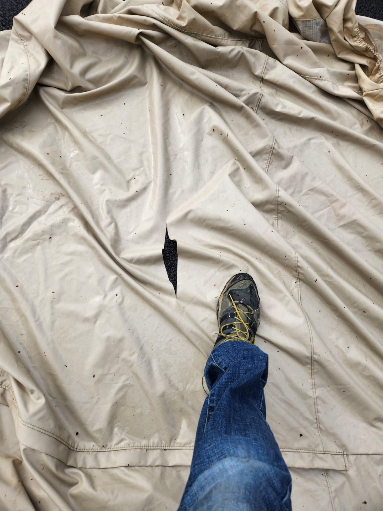 Covermates Elite Outdoor Sectional Set Cover - Water-Resistant 300D Polyester Patio Sofa Protector, Drawcord Hem, Mesh Vent, Adjustable Buckle Straps, 138W x 68D x 30H, Charcoal customer photo 2