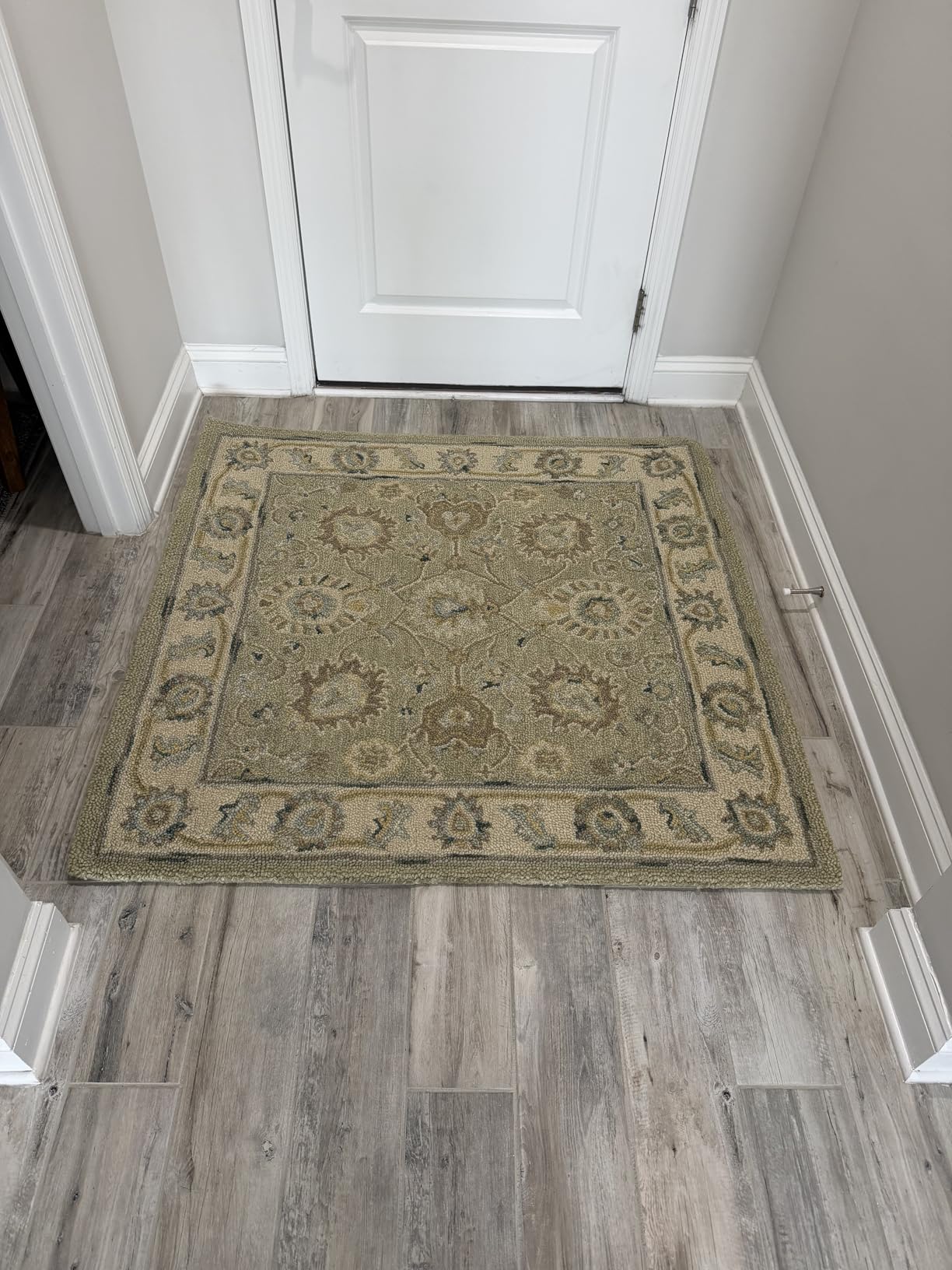 SAFAVIEH Blossom Collection 8' x 10' Sage / Ivory BLM702W Handmade Premium Wool Area Rug customer photo 1