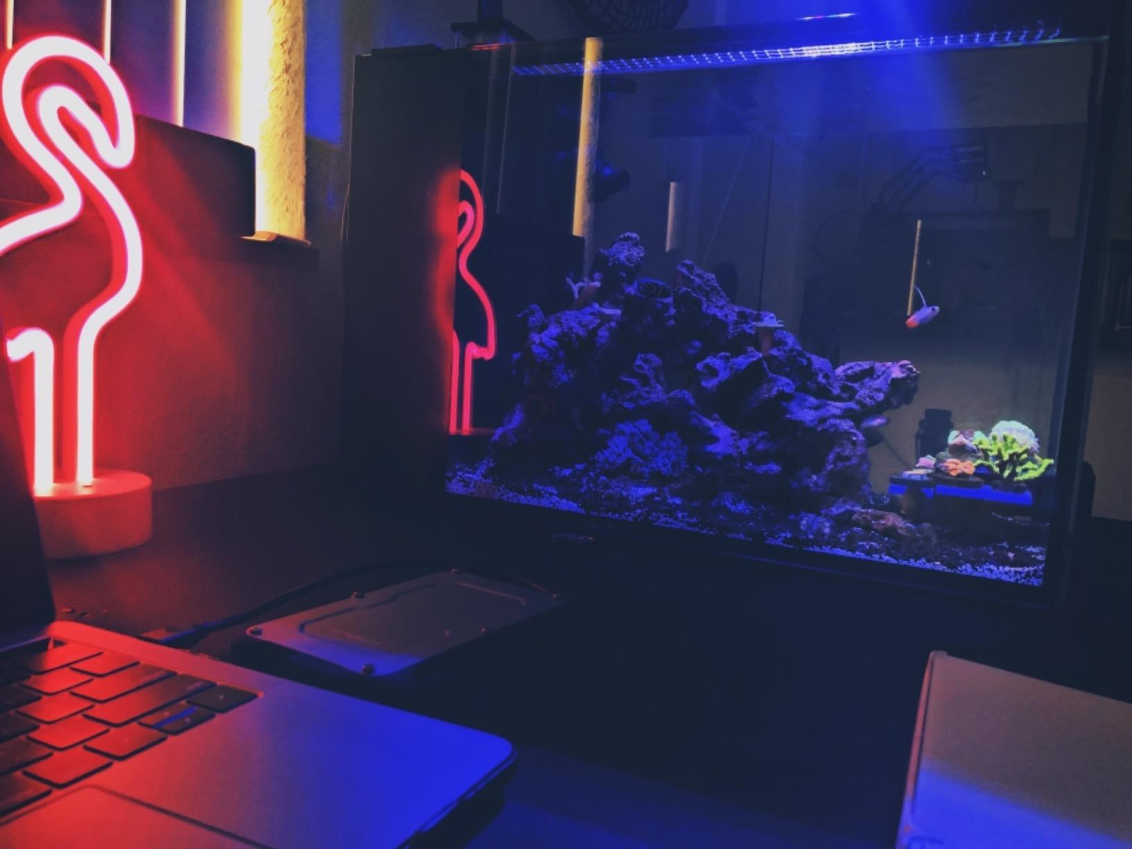 Innovative Marine Nuvo Fusion Pro 2 Series (14 Gallon Peninsula) customer photo 1