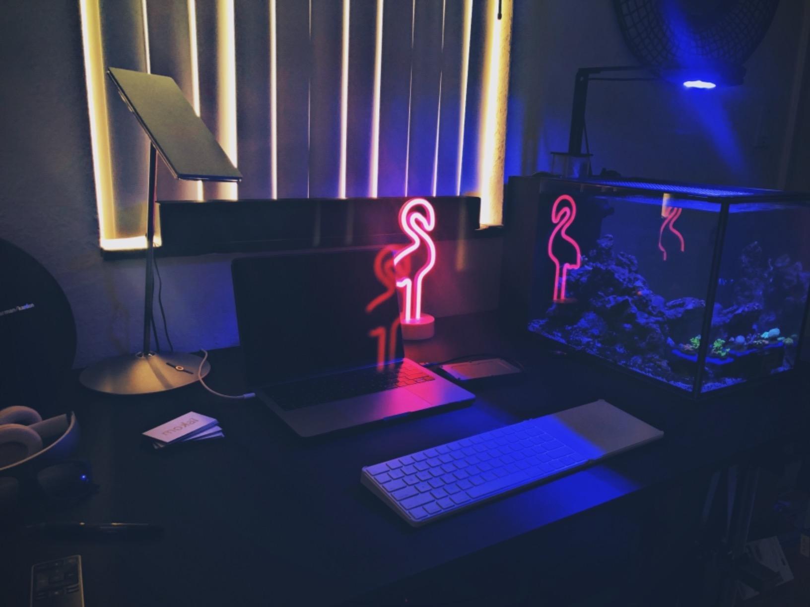 Innovative Marine Nuvo Fusion Pro 2 Series (14 Gallon Peninsula) customer photo 2