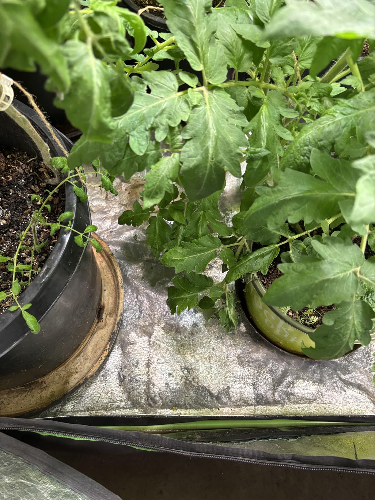 VIVOSUN S108 10x10 Grow Tent - 120