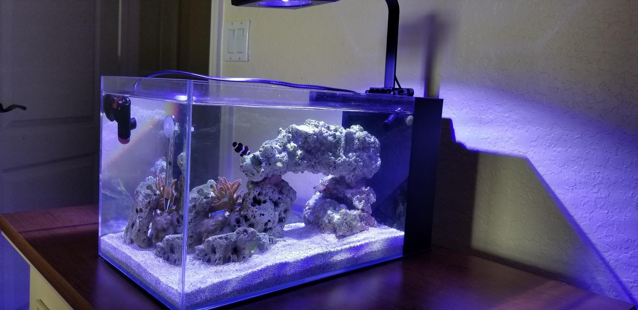 LIFEGARD Low Iron Ultra Clear 7.5 Gallon Crystal Aquarium with Built in Side Filter - Rimless Glass, 45° Beveled Edge, Peninsula Style with Directional Jet Flow customer photo 2