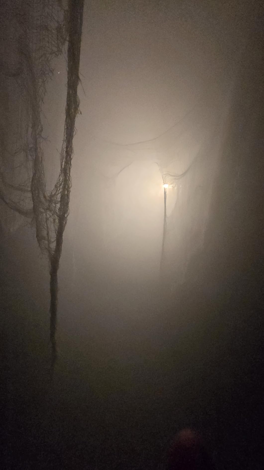 Froggy's Fog Titan 1200 Fog Machine, High Output Indoor Fogger Machine with 20,000 CFM and Low Fluid Sensor customer photo 2