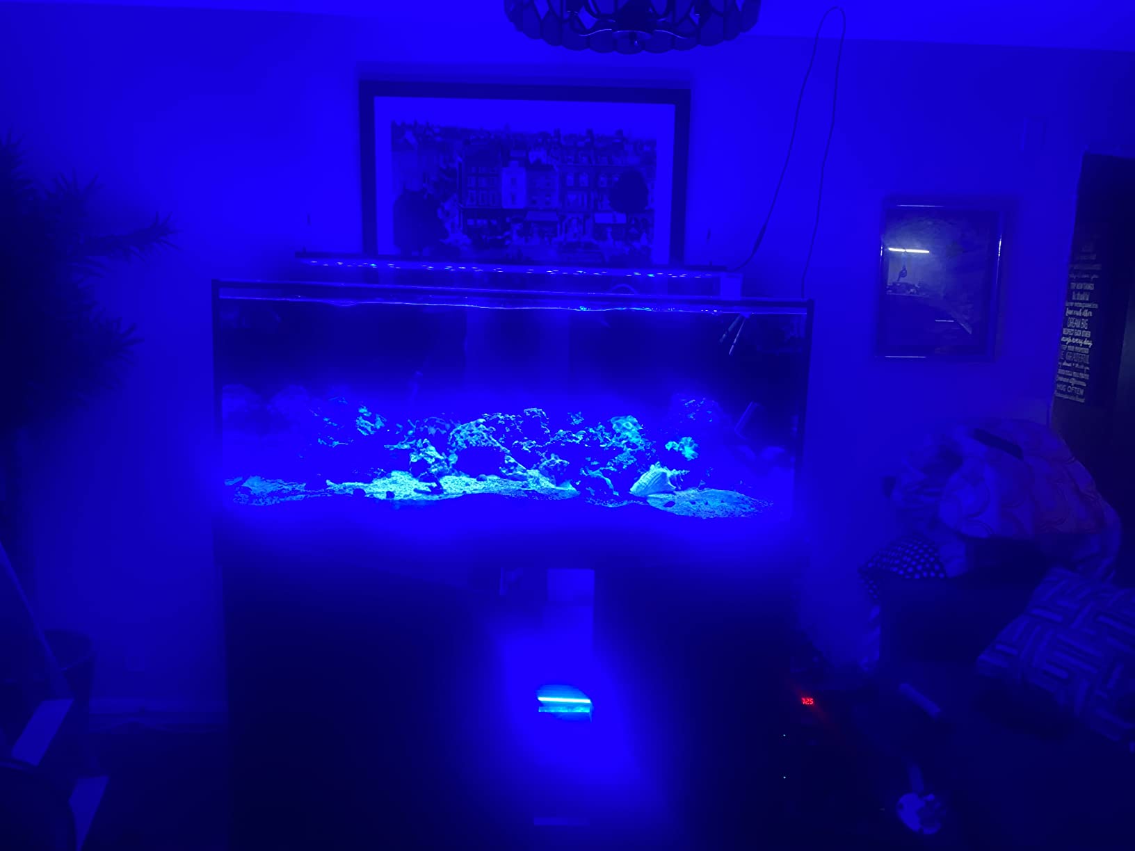 150 Gallon Starfire Glass Aquarium 60x24x24 12mm Eurobraced with Built-in Overflow Box customer photo 1