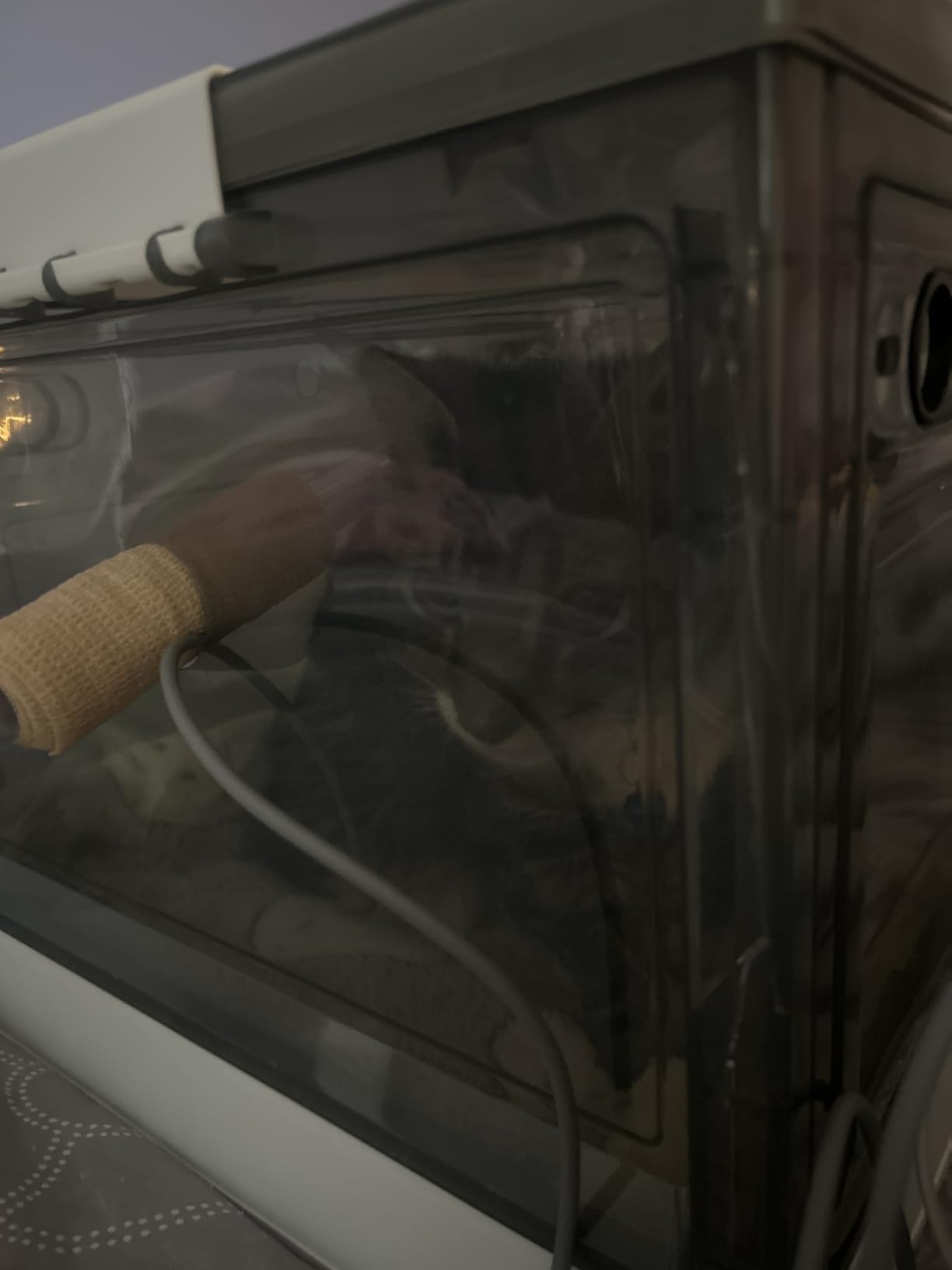 Vet Handheld Pulse Oximeter - Professional for Dogs/Cats/Horses SPO2, Heart Rate, Temperature - Rechargeable Battery (30-Day Guarantee) customer photo 1