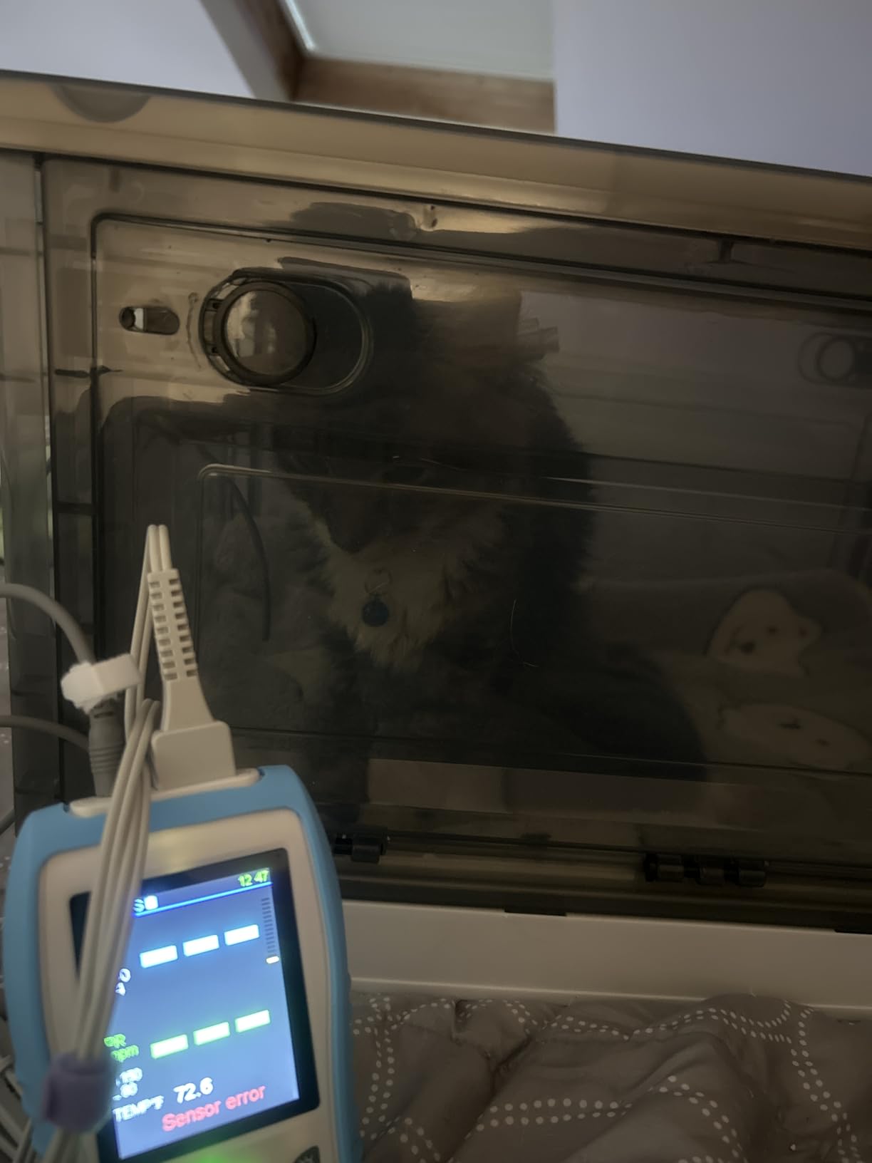 Vet Handheld Pulse Oximeter - Professional for Dogs/Cats/Horses SPO2, Heart Rate, Temperature - Rechargeable Battery (30-Day Guarantee) customer photo 2