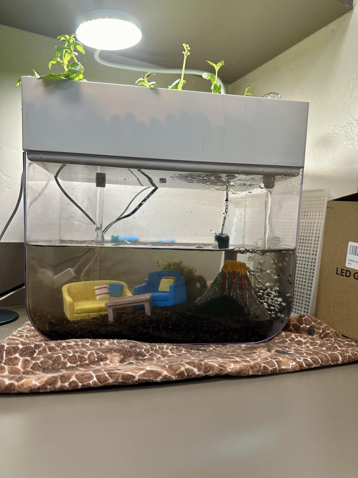 Hydroponic Garden Aquaponic Fish Tank Plants Growing System Self-Cleaning Seed Sprouter Tray customer photo 1