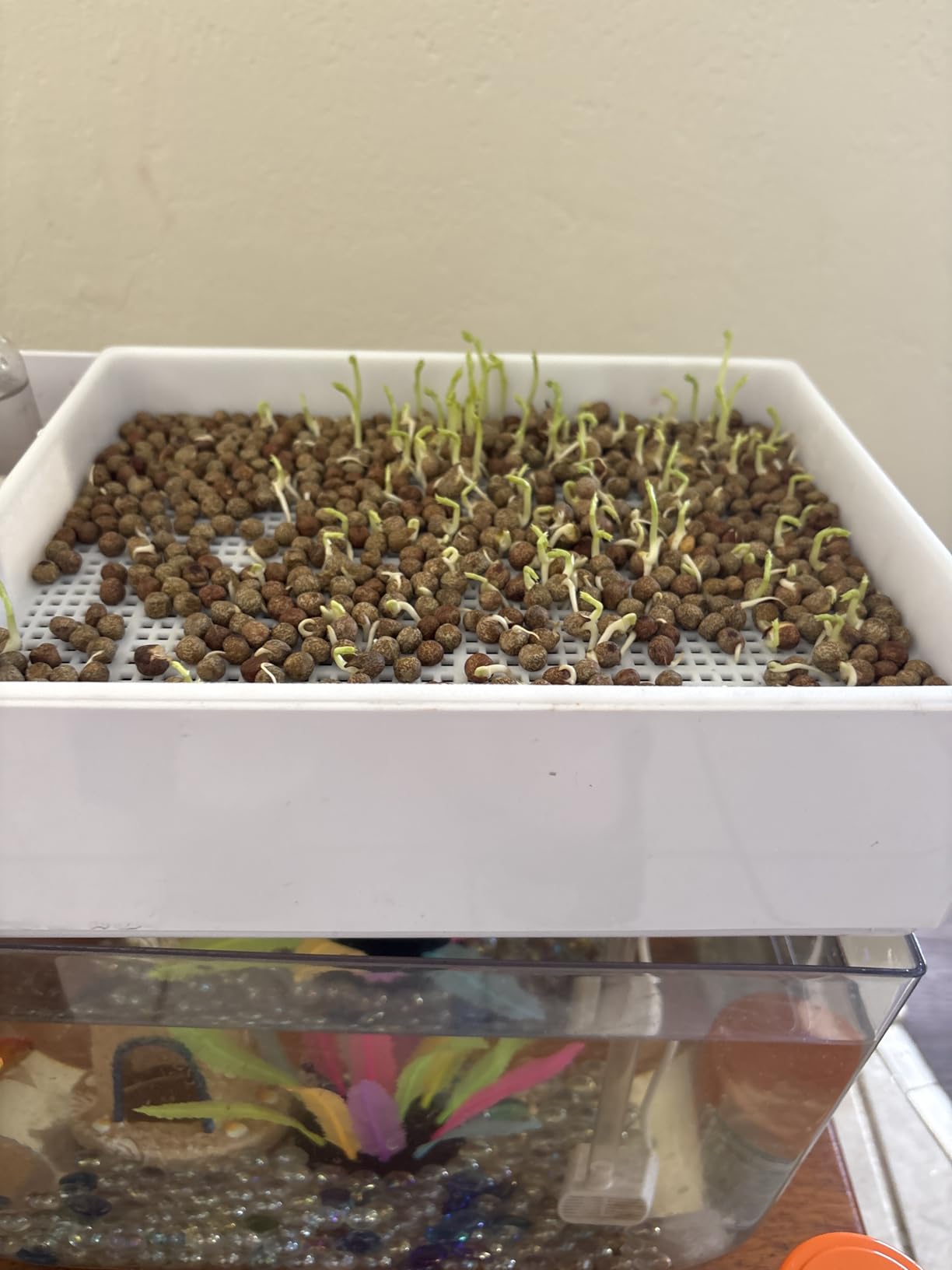 Hydroponic Garden Aquaponic Fish Tank Plants Growing System Self-Cleaning Seed Sprouter Tray customer photo 2