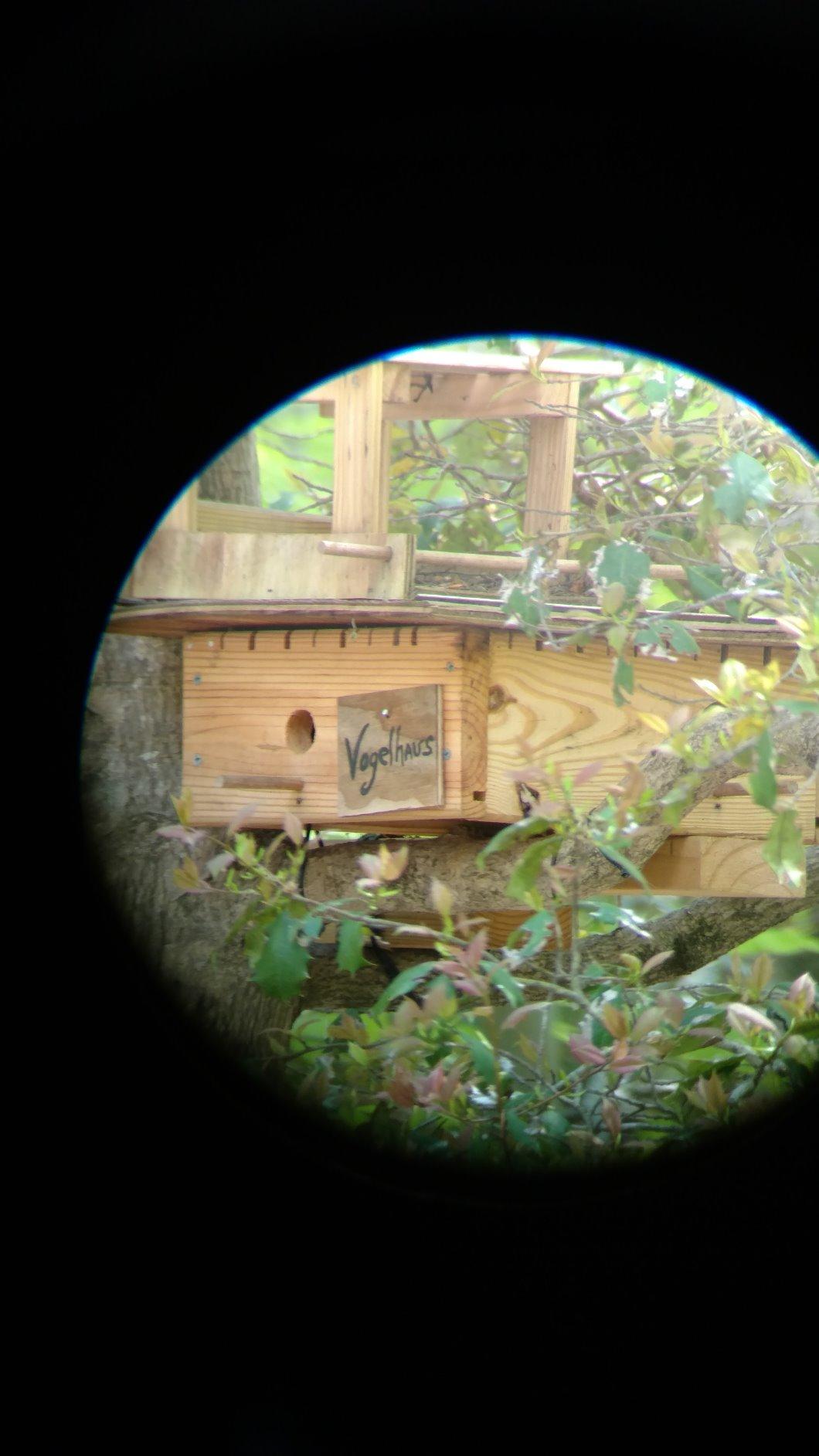 Celestron Ultima 80 Angled Spotting Scope customer photo 1