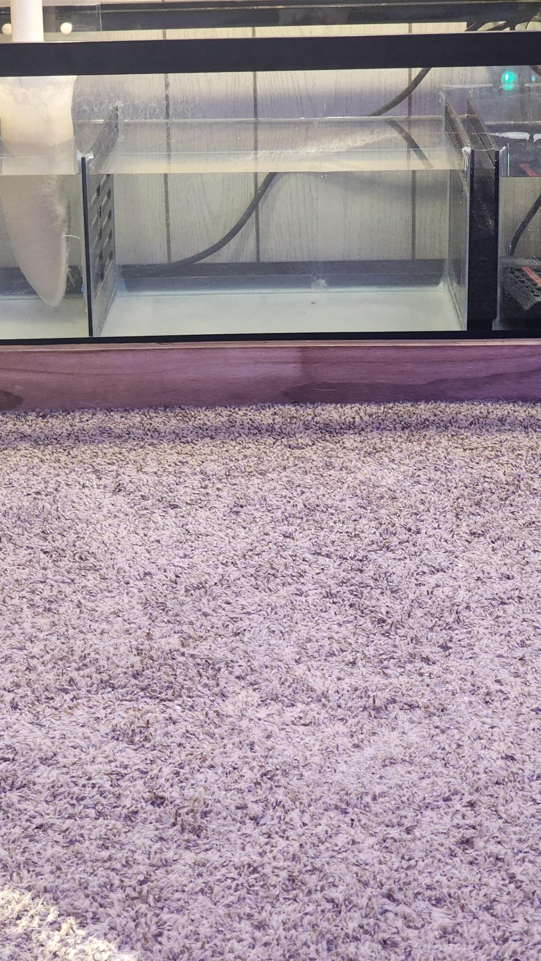 Bubblefin Aquarium Sump Refugium DIY Kit for Protein Skimmer Sump - Chamber dividers for (20 Gallon Long) Tank is not Included customer photo 2