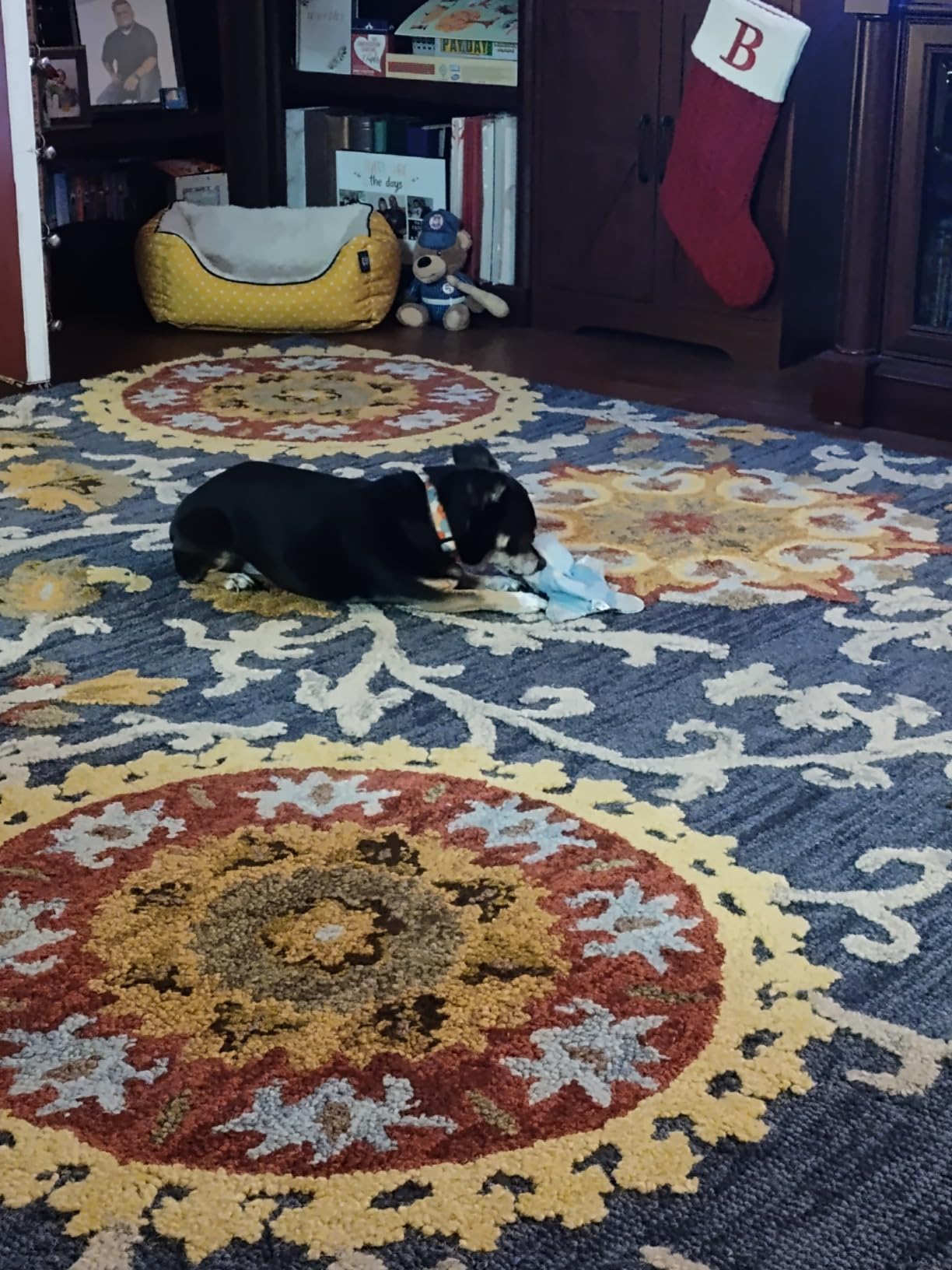 SAFAVIEH Blossom Collection Area Rug - 10' x 14', Charcoal & Multi, Handmade Wool, Ideal for High Traffic Areas in Living Room, Bedroom (BLM401A) customer photo 2