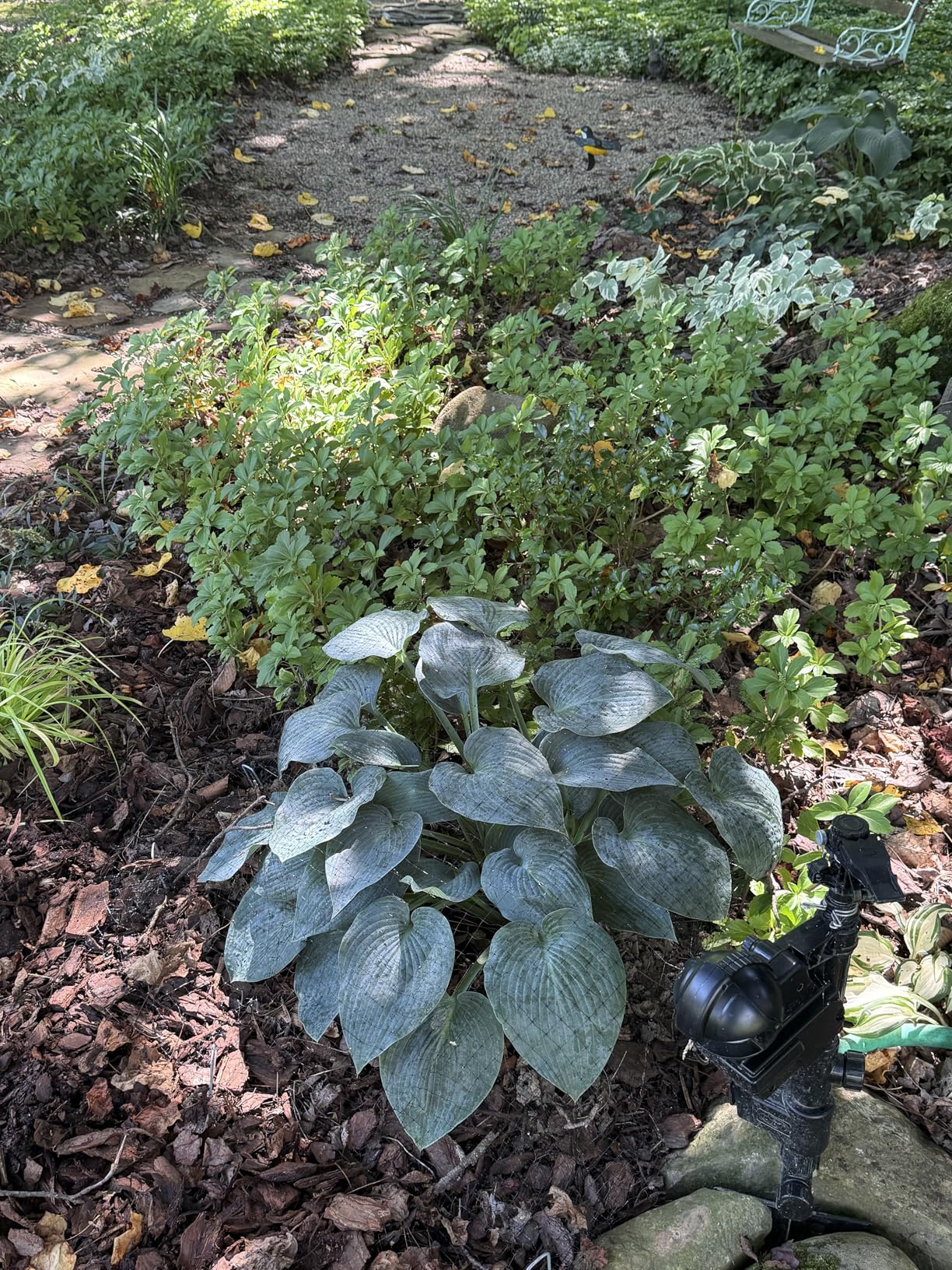 Deer Fence Netting, 7 x 100 Feet Anti Bird Deer Protection Net Reusable Protective Garden Netting for Plants Fruit Trees Vegetables Against Birds and Other Animals customer photo 2