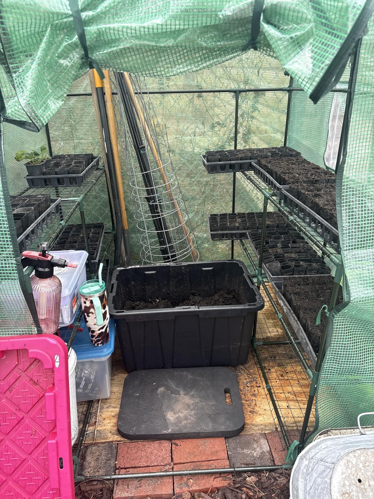 Ohuhu Greenhouse for Outdoors with Screen Windows, 57 x 57 x 76'' Walk in Plant Greenhouses Heavy Duty with Durable PE Cover, 3 Tiers 12 Shelves Stands Plastic Portable Green House with Shelf Clips customer photo 1