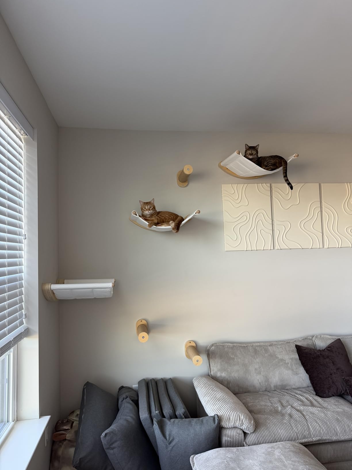 7 Ruby Road Cat Wall Shelves Hammock Set - Wall Mounted Cat Furniture with Steps for Large Cats, Indoor Climbing & Lounging customer photo 1