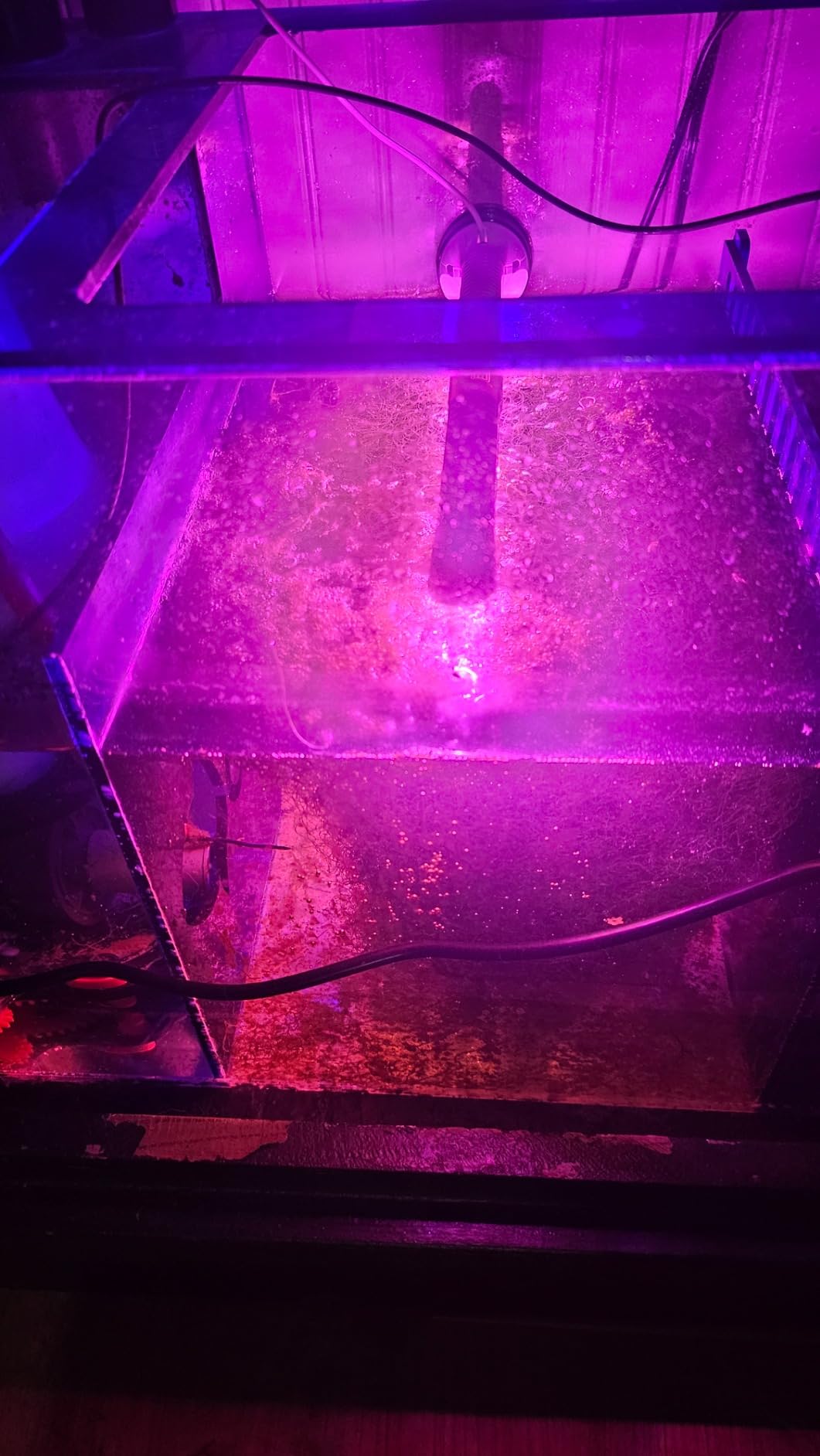 Tunze Eco Chic Refugium 8831 customer photo 2