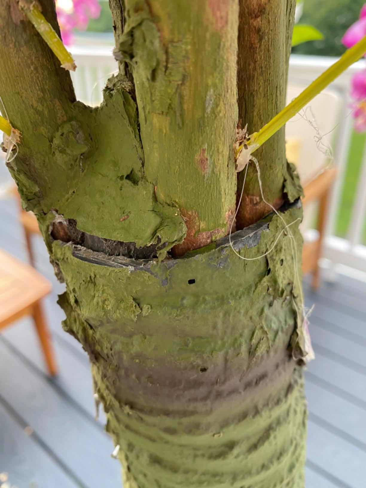 AMERIQUE White Pair Gorgeous & Dense 5 Feet Artificial Silk Wisteria Trees with Flowers customer photo 1