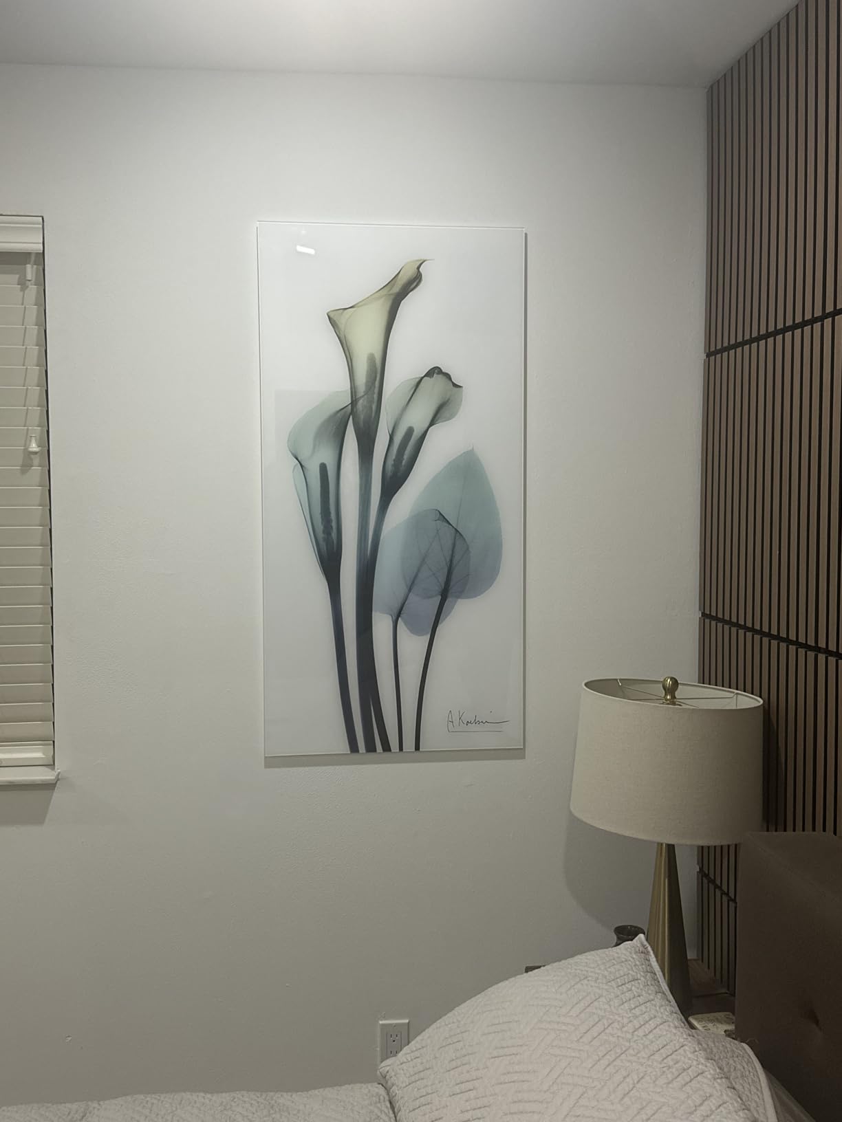 Empire Art Direct Frameless Free Floating Tempered Glass Panel Graphic Wall Art, 24