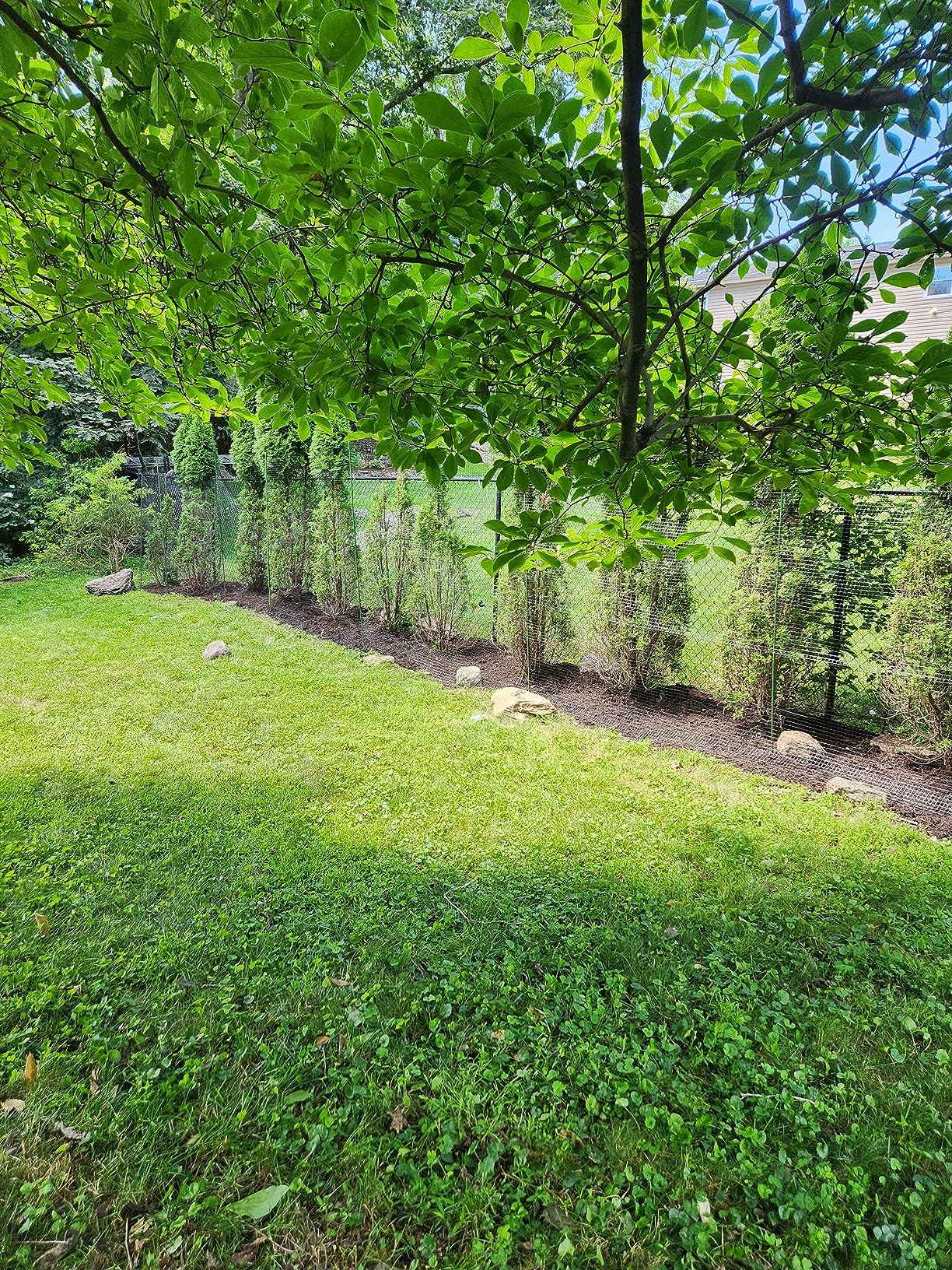 OldMacDonald Deer and Animal Fence Barrier Netting (55gr/sq m.) 7.5' x 100' (2.3m x 30m) (mesh 19x19mm) - Folded for Shipping customer photo 2