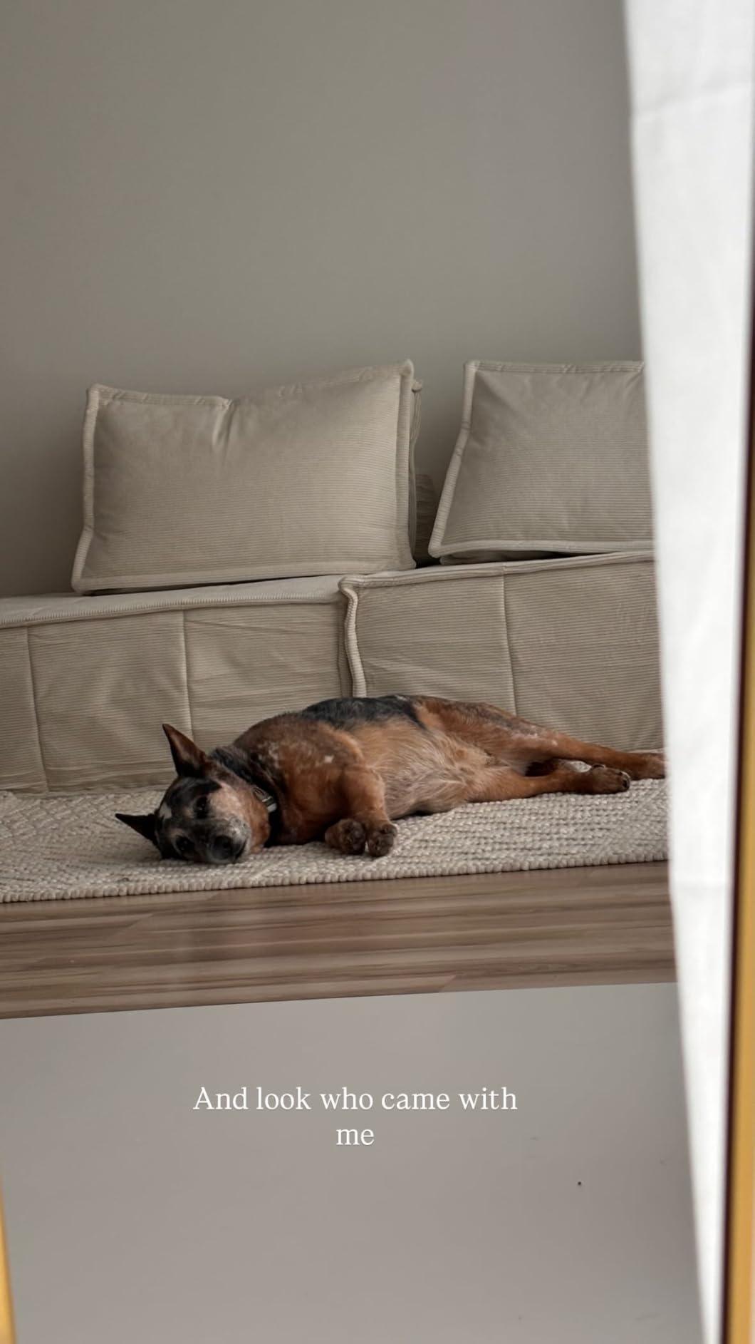 SAFAVIEH Natura Collection 8'x10' Handmade Moroccan Boho Wool Area Rug customer photo 1