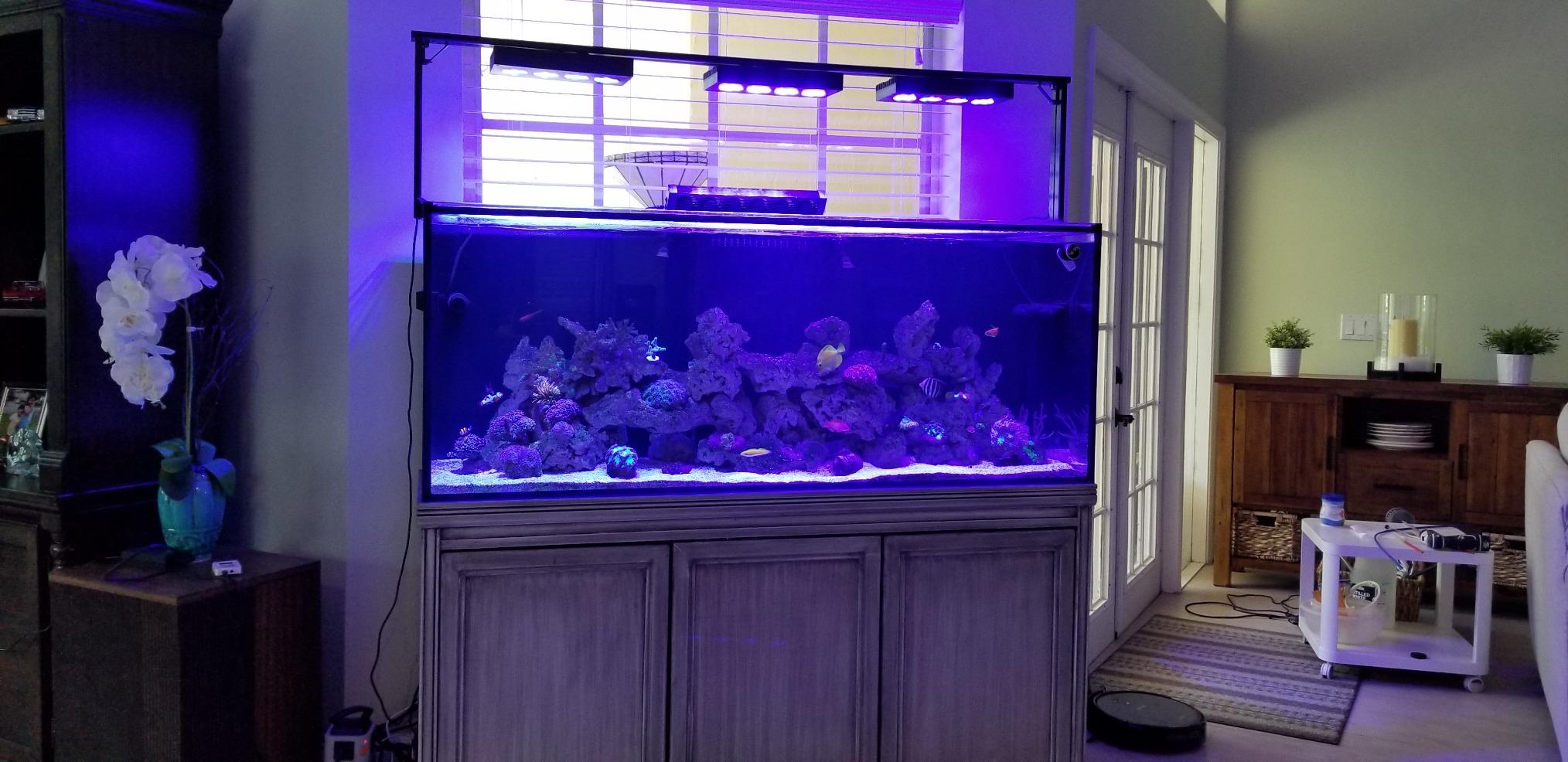 SC Aquariums Gallon Starfire Glass Aquarium 12mm Eurobraced with Built-in Overflow Box (120 Gallon) customer photo 2