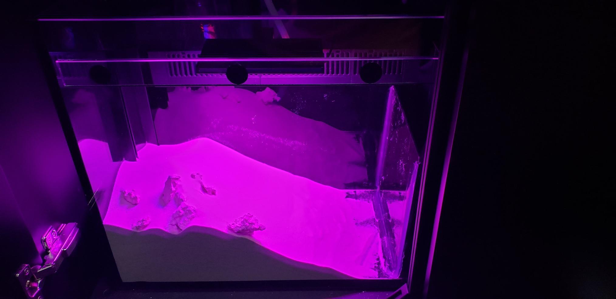 Innovative Marine ChaetoMax Refugium LED Light (18 Watt) customer photo 1