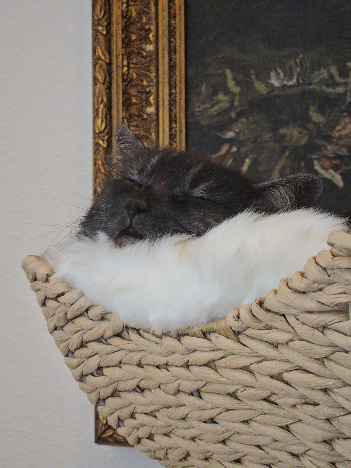 Mau Lifestyle Gray Cento Cat Tree, 45.5