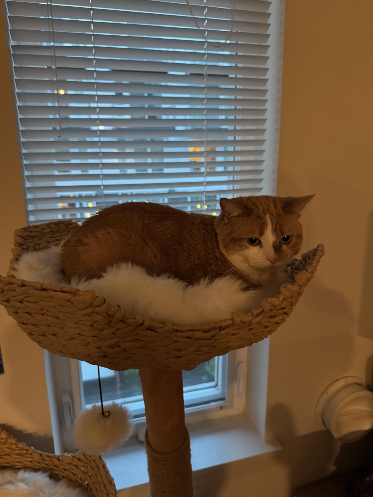 Mau Lifestyle Gray Cento Cat Tree, 45.5