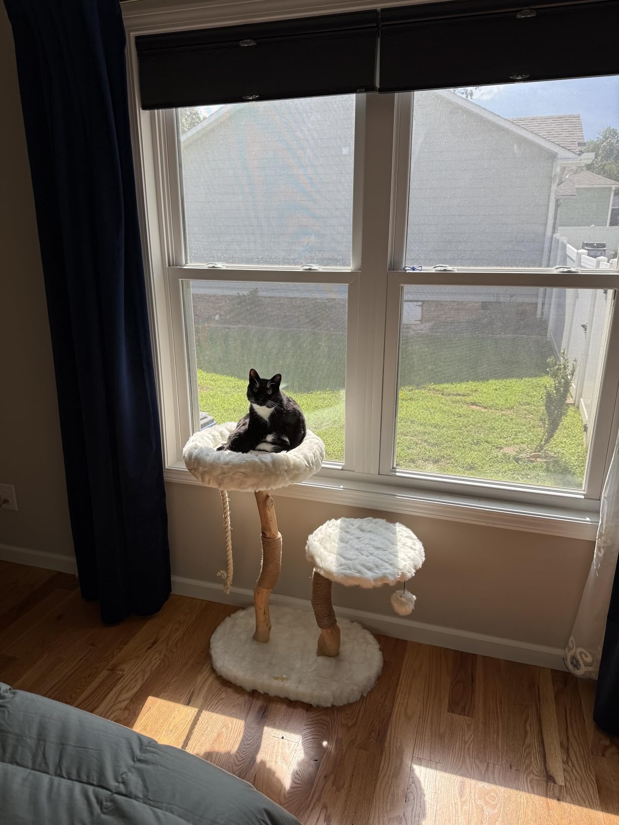 Mau Lifestyle Gray Rizzo Cat Tree, 32