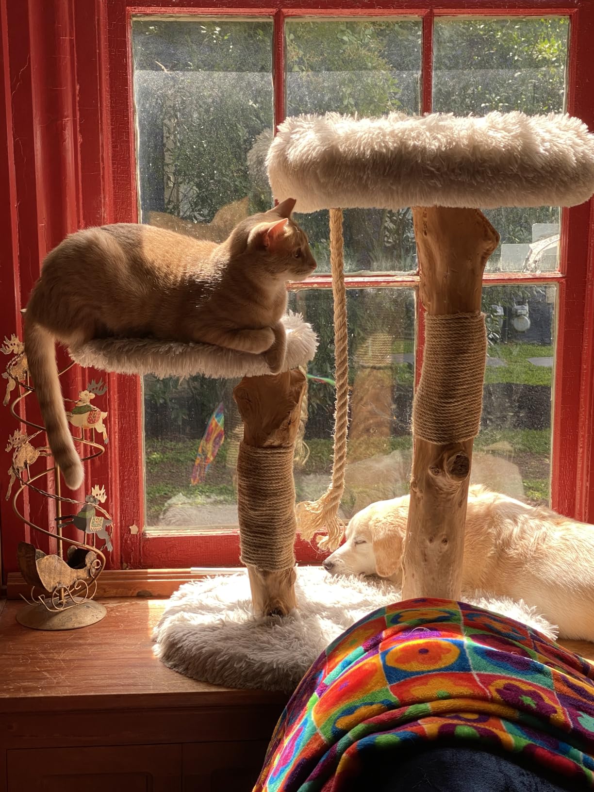 Mau Lifestyle Gray Rizzo Cat Tree, 32