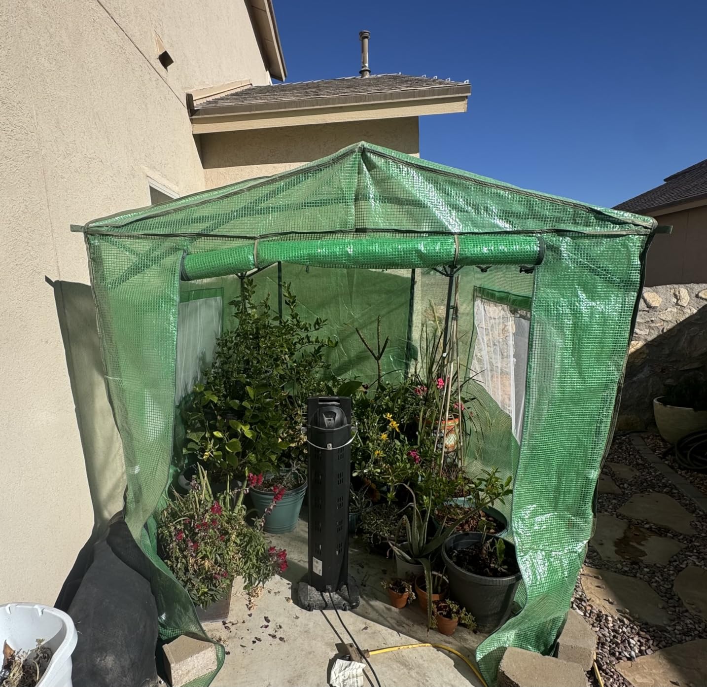 EAGLE PEAK 8x6 Portable Walk in Greenhouse, Pop Up Indoor Outdoor Greenhouse, Green House Kit with Zippered Roll-Up Doors and Windows, PE Cover, Clear/Green customer photo 1