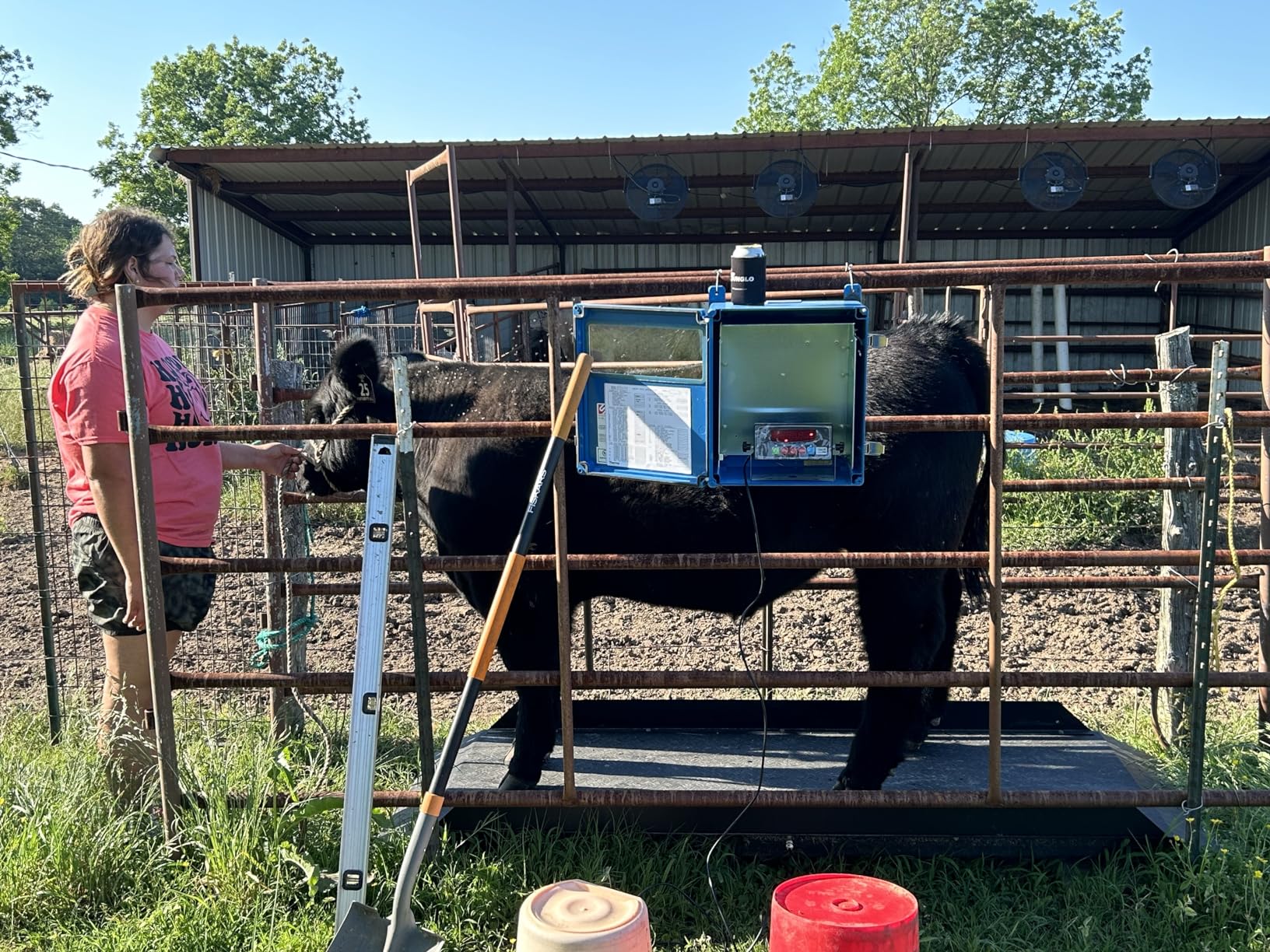 Large Farm Animal Scale Digital Livestock Weighing Equipment, Capacity 4000 x 1 lb for Cattle, Horse, Goat, Cow, Alpaca, 84x30 customer photo 2