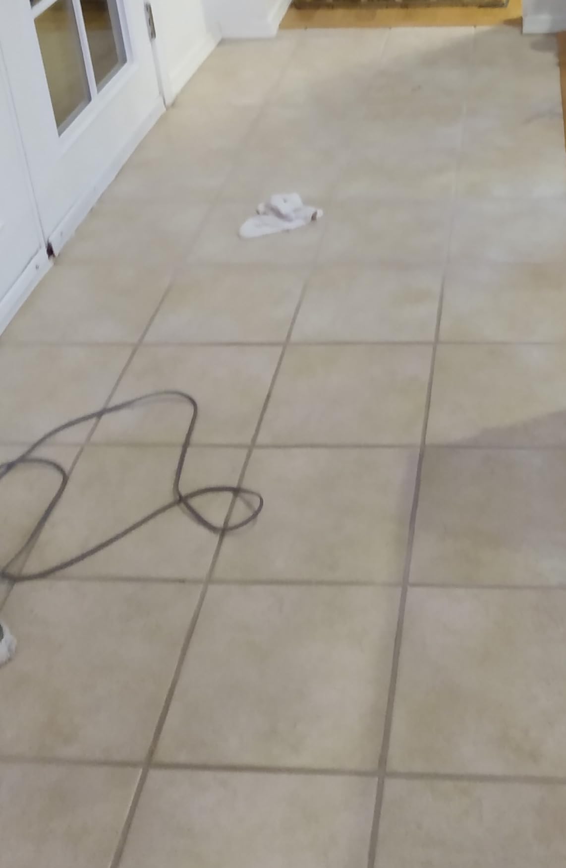 BISSELL PowerSteamer Heavy Duty 3-in-1 Steam Mop and Handheld SteamShot for Indoor & Outdoor, use for Garage, Workshop, Auto, Boat, Recreational Vehicles, Windows,Outdoor Furniture and Decks, 2865A customer photo 2