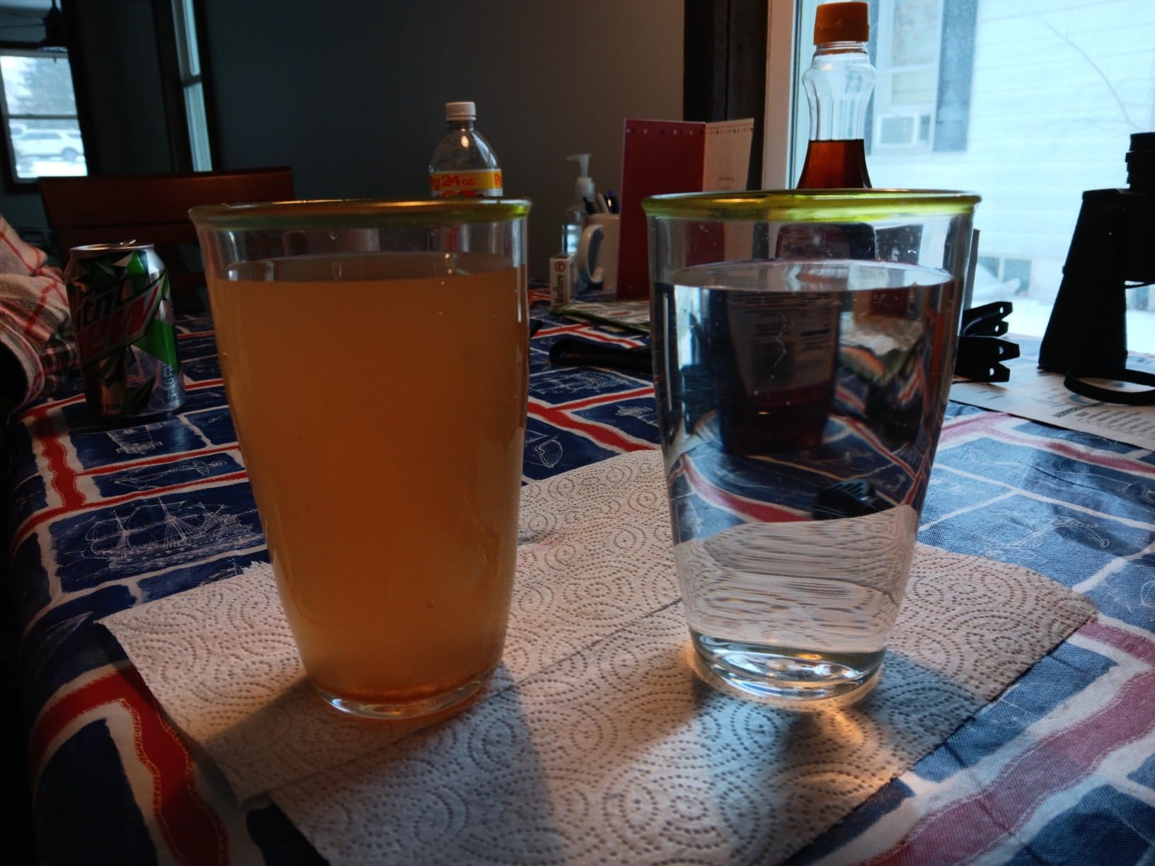 PRO+AQUA Heavy Duty Whole House Well Water Filter System customer photo 1