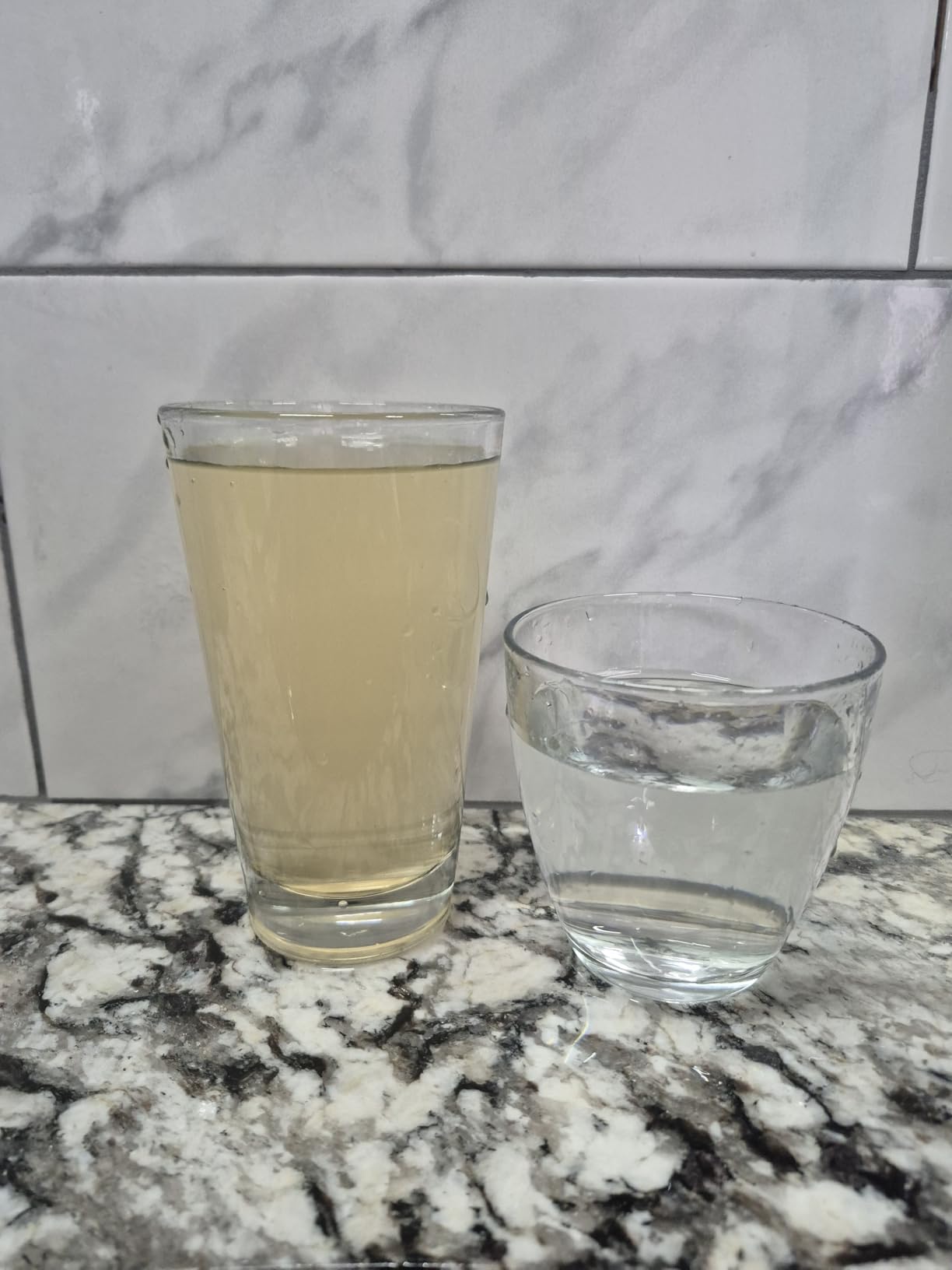 PRO+AQUA Heavy Duty Whole House Well Water Filter System customer photo 2