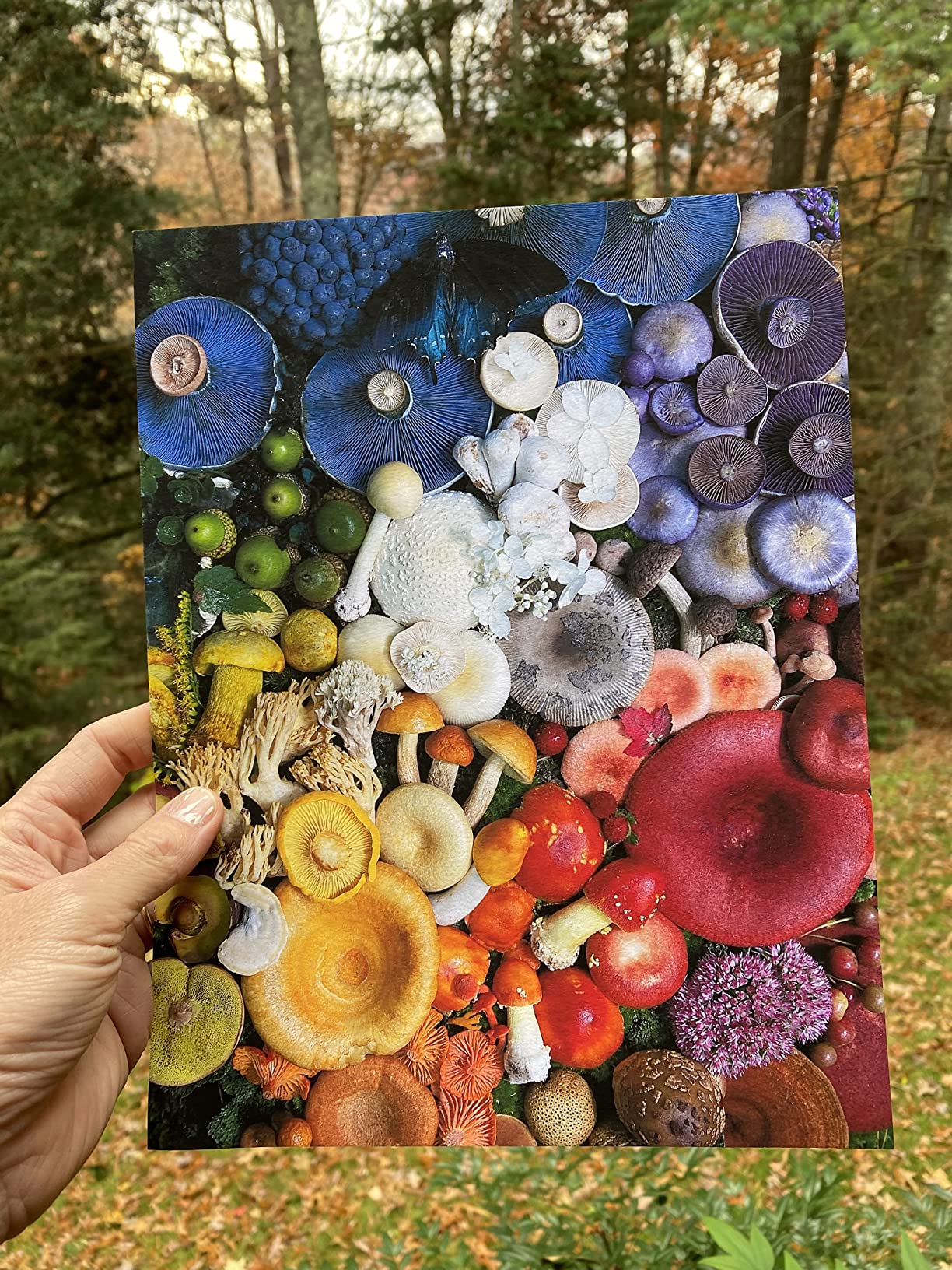 Epson SureColor P700 13-Inch Professional Photo Printer customer photo 1