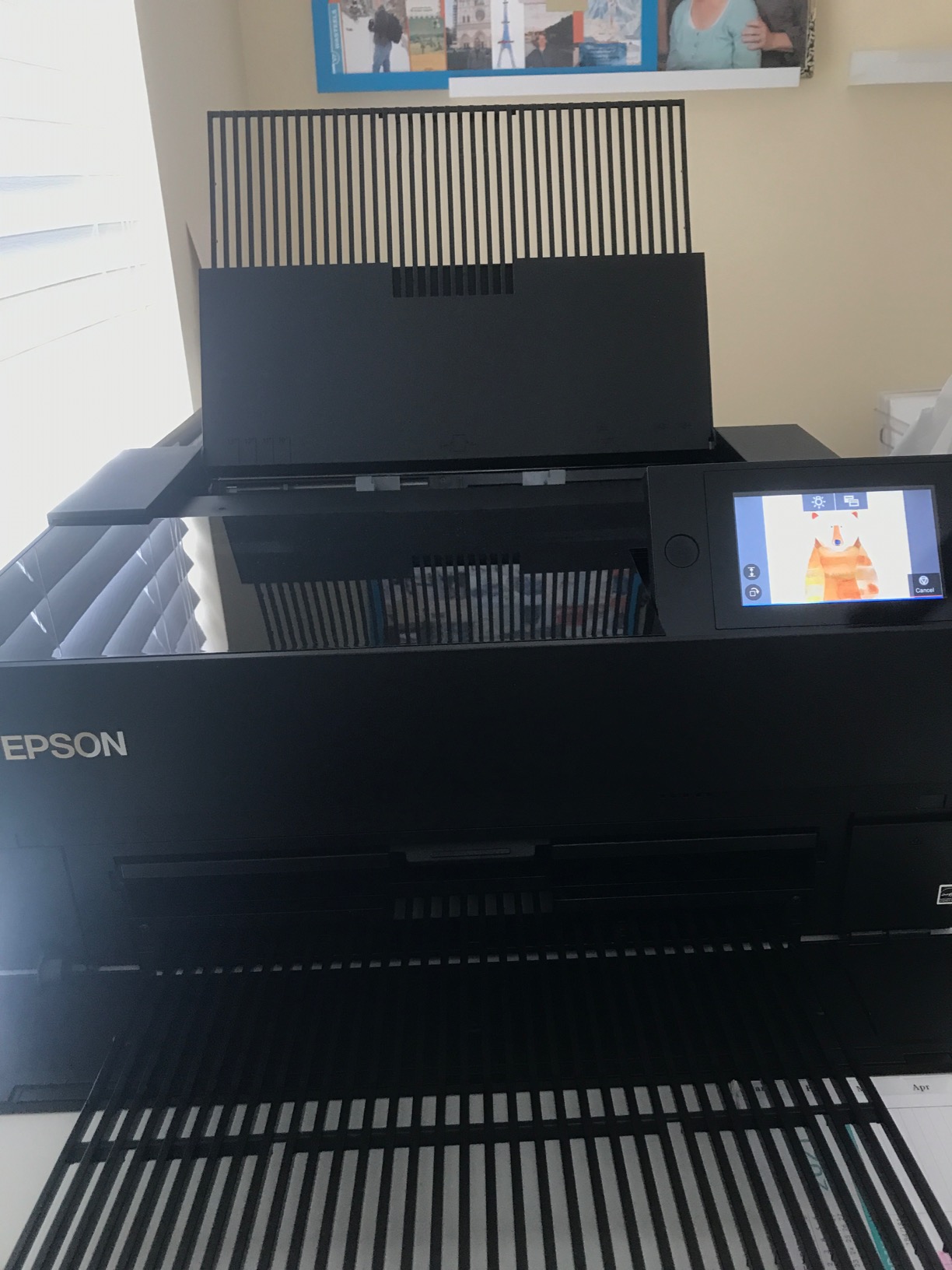 Epson SureColor P700 13-Inch Professional Photo Printer customer photo 2